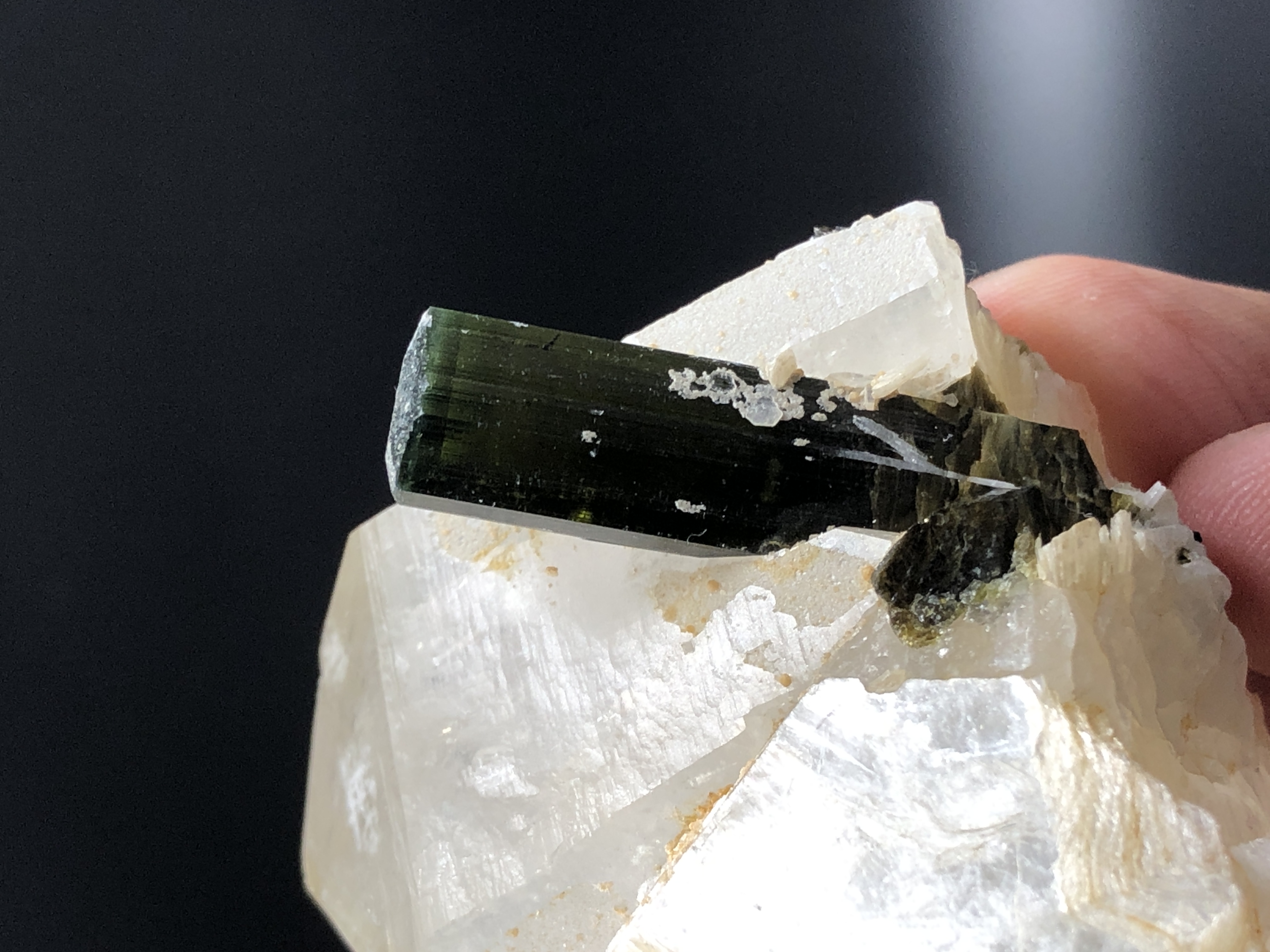 Natural Green Cap Tourmaline Crystal in association with Quartz & Phlogopite.