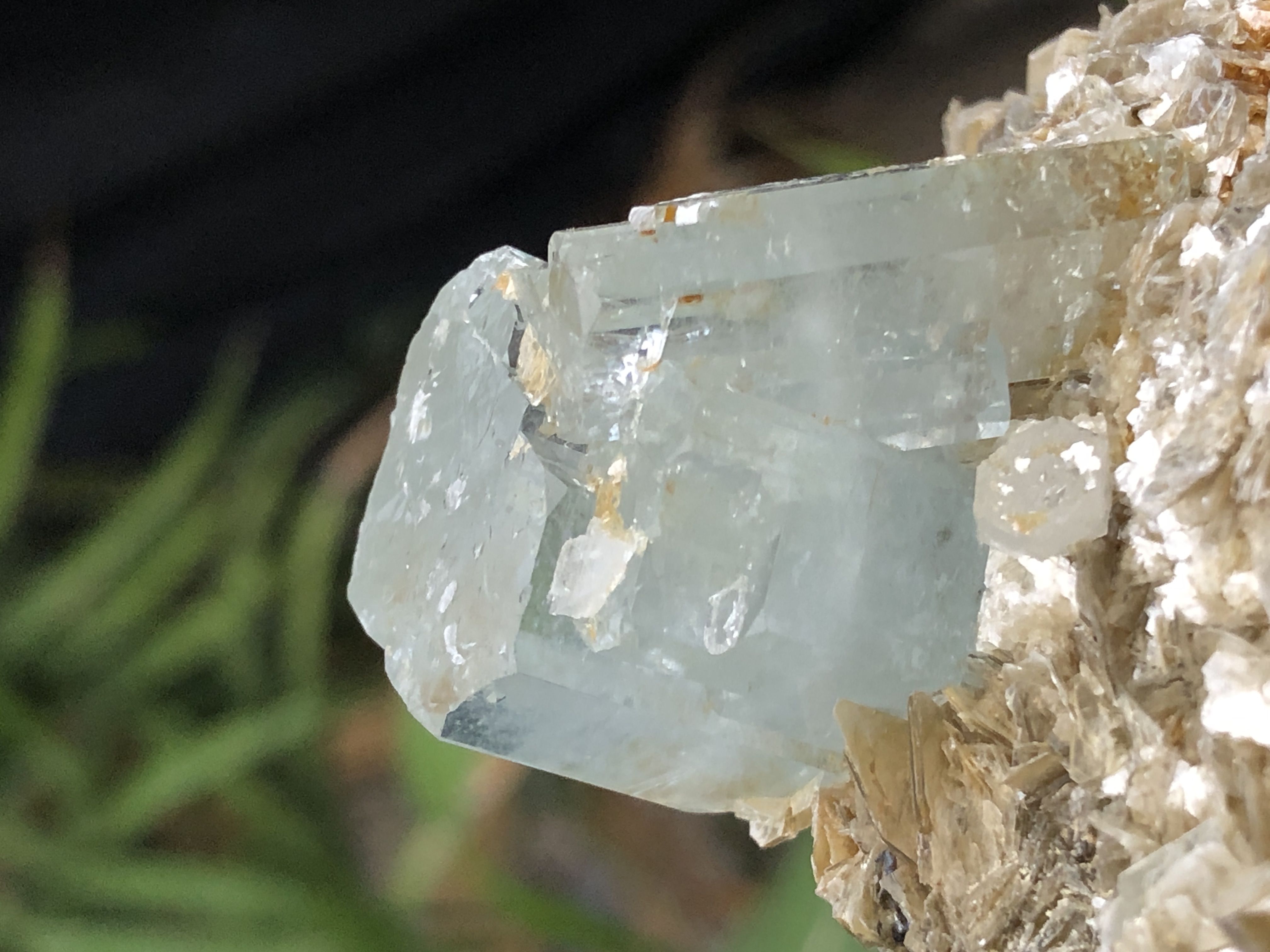 Natural Terminated Aquamarine Crystal on Muscovite.