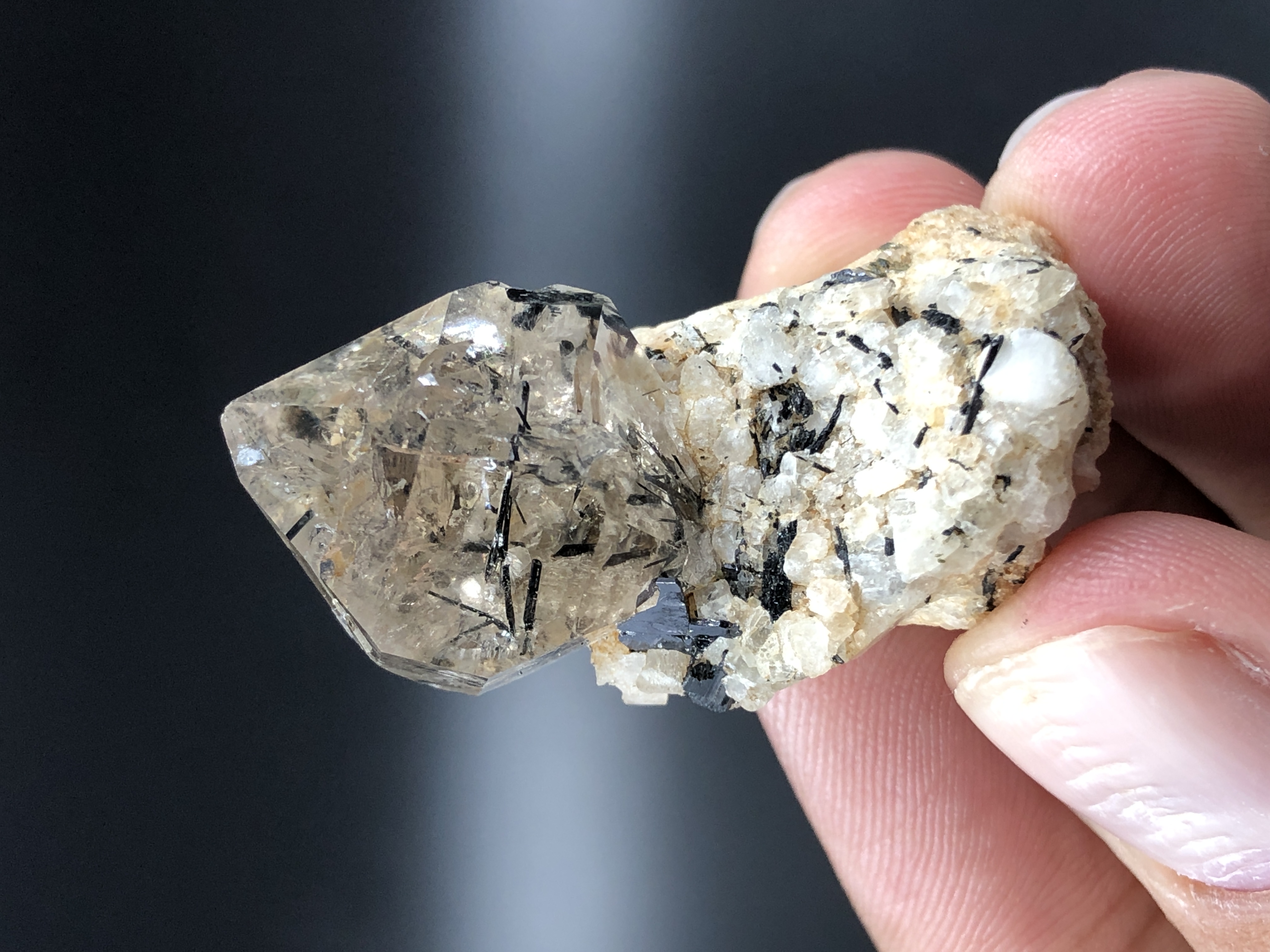 Natural Smoky Quartz With Ludwigite Inclusion, Nested on Matrix.