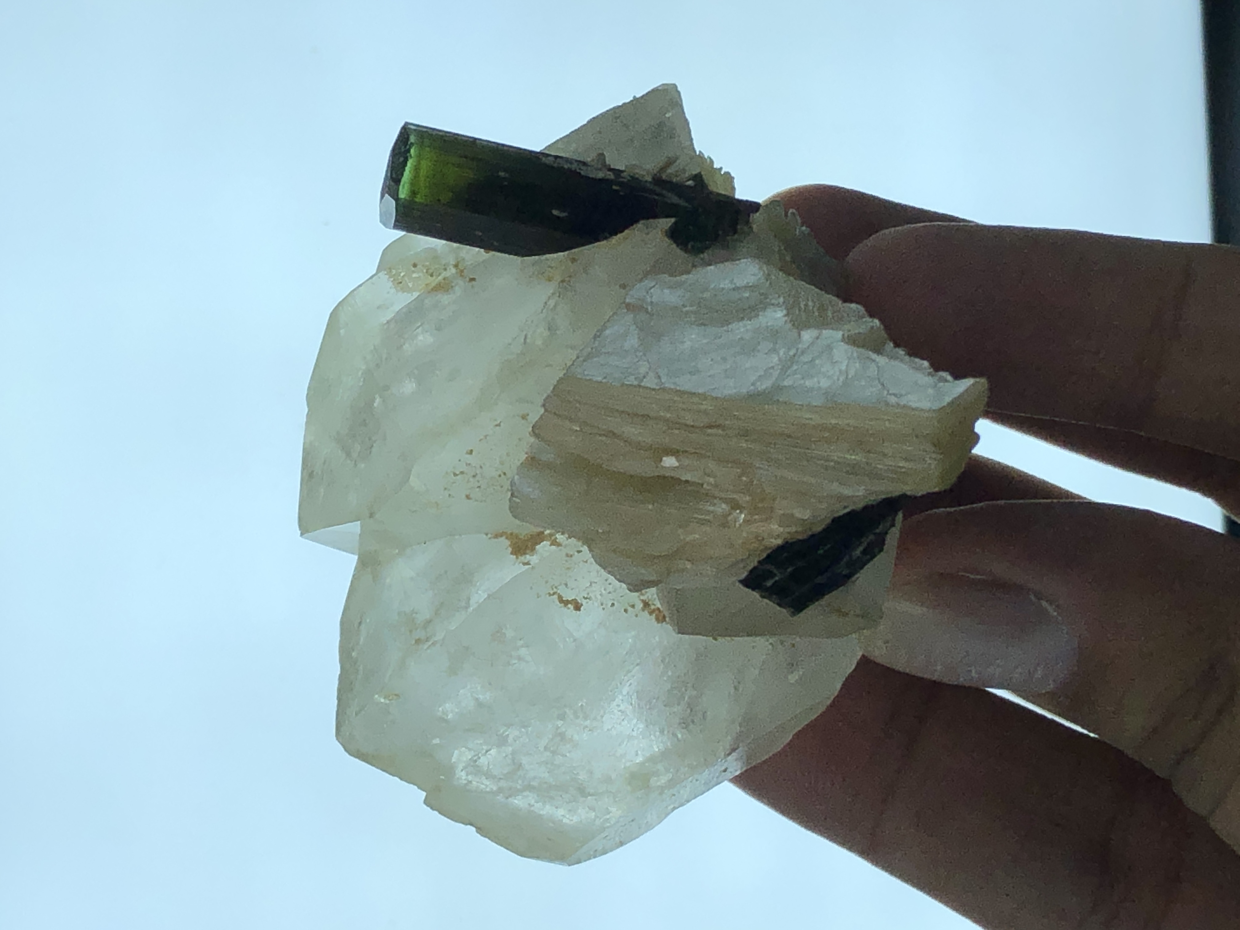 Natural Green Cap Tourmaline Crystal in association with Quartz & Phlogopite.