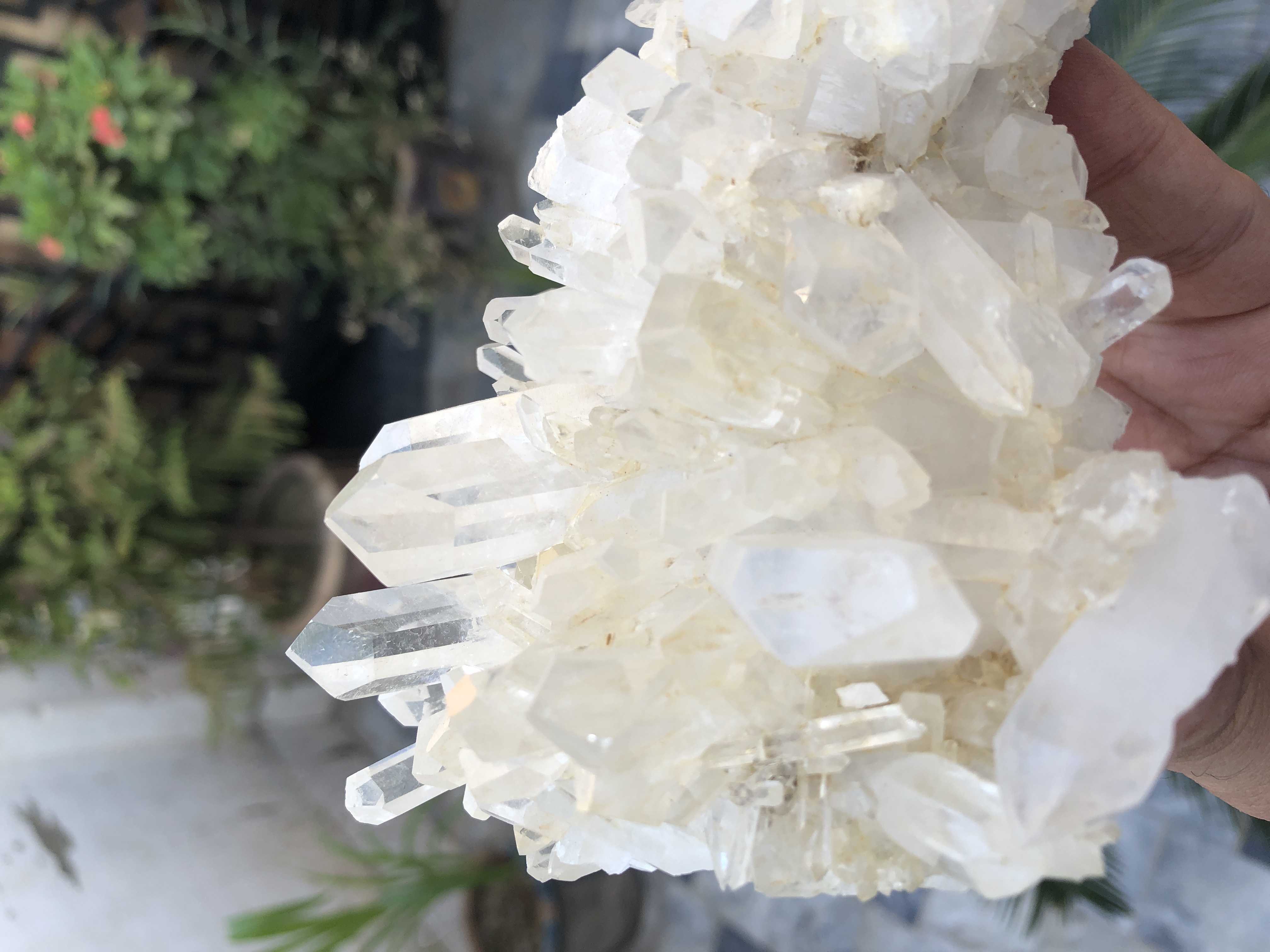 An Incredible Natural Crystal Cluster of Quartz.