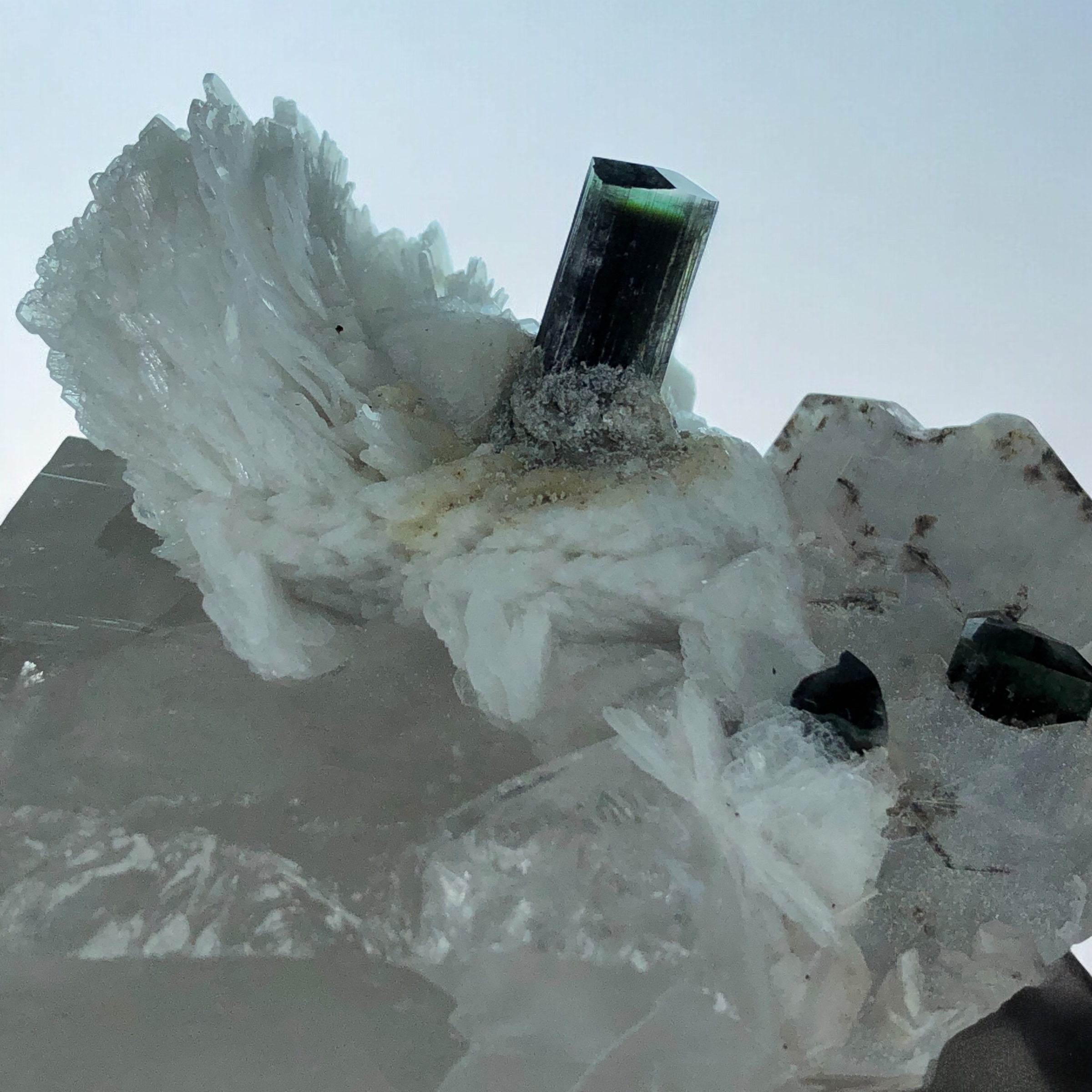 Natural Green Cap Tourmaline Crystal in association with Quartz; Cleavelandite & Phlogopite. (Repaired)