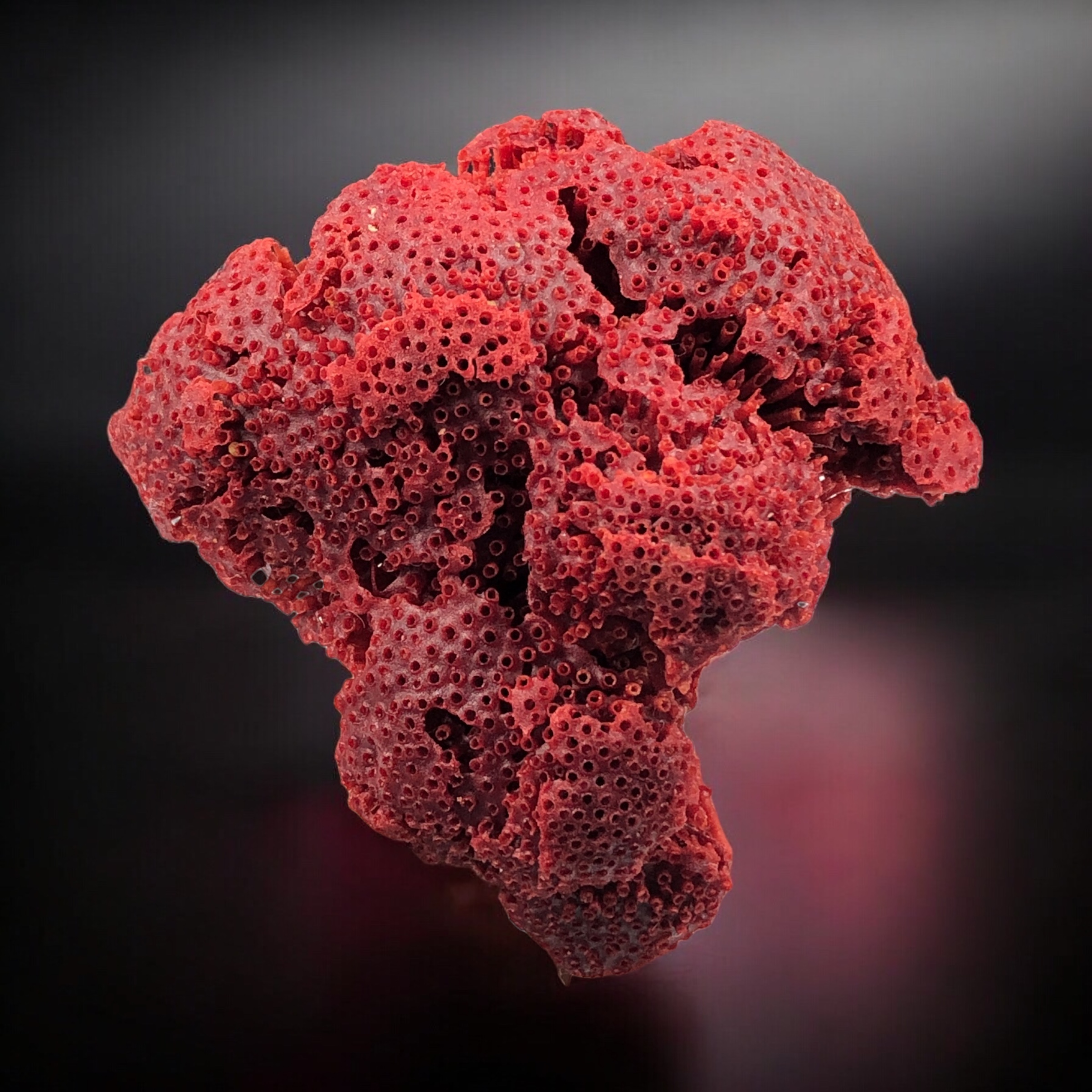 Natural Bunch of Red Coral, from Pakistan