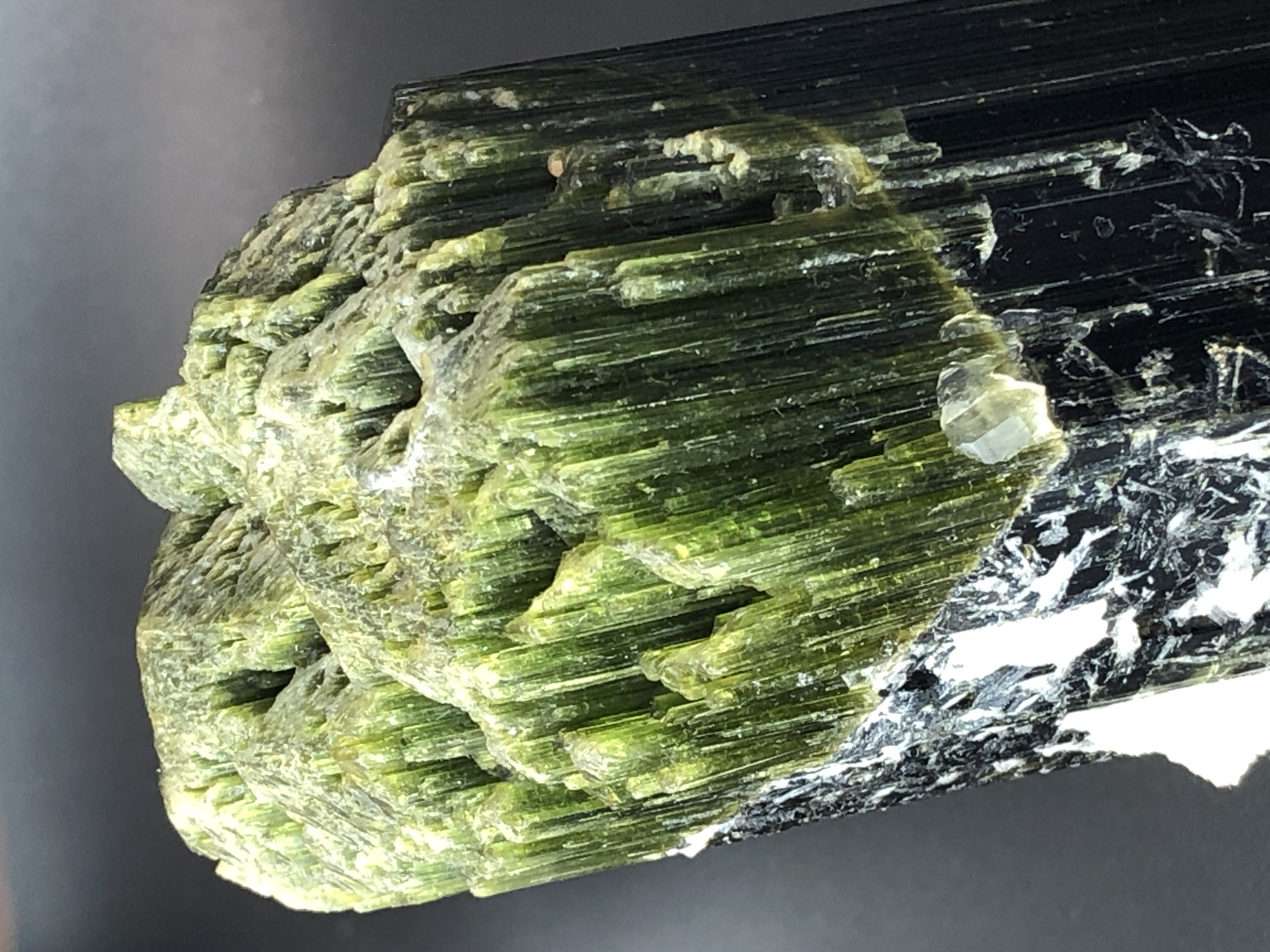 Natural High Grade Bi Color Tourmaline Crystal