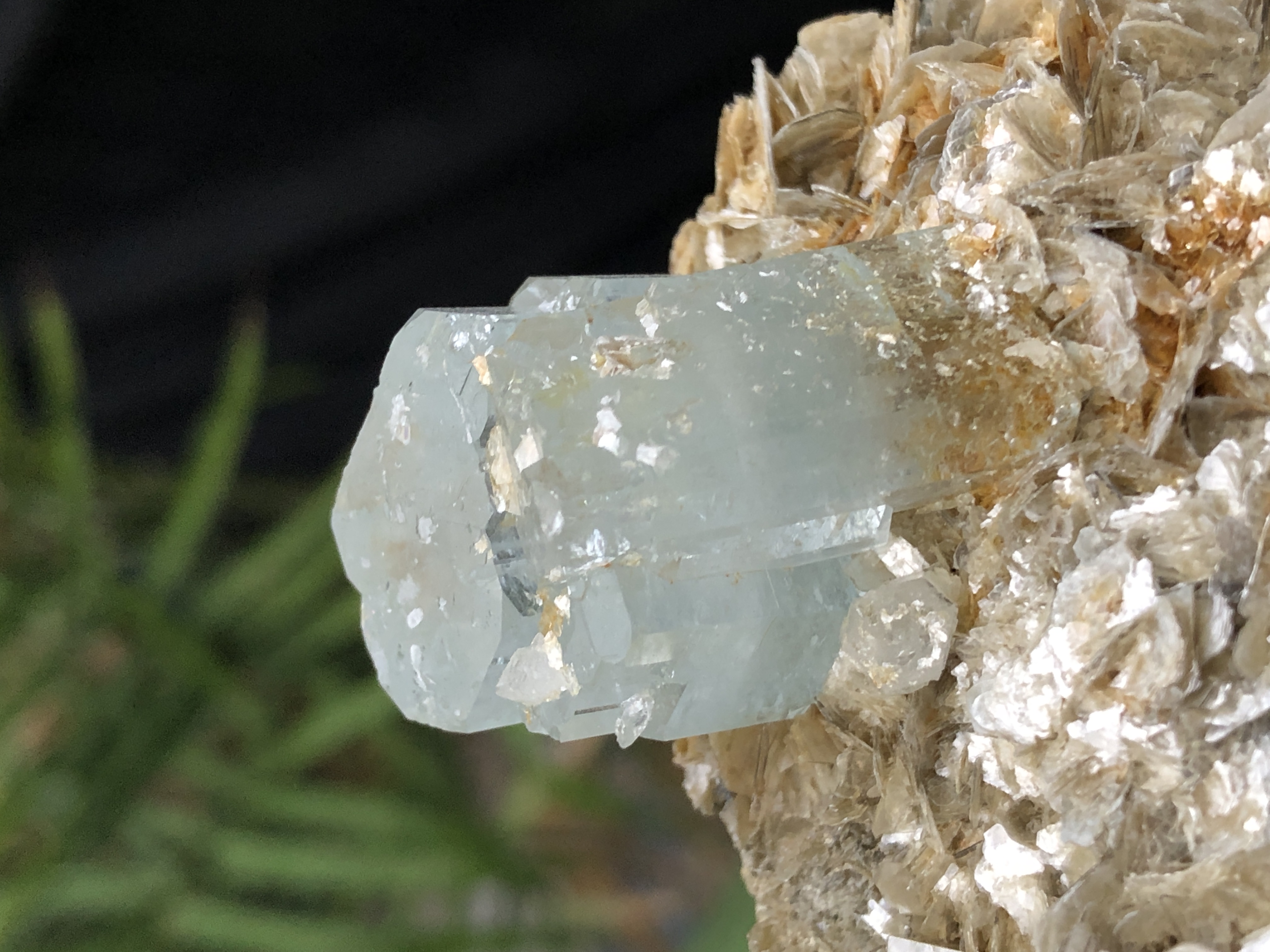 Natural Terminated Aquamarine Crystal on Muscovite.