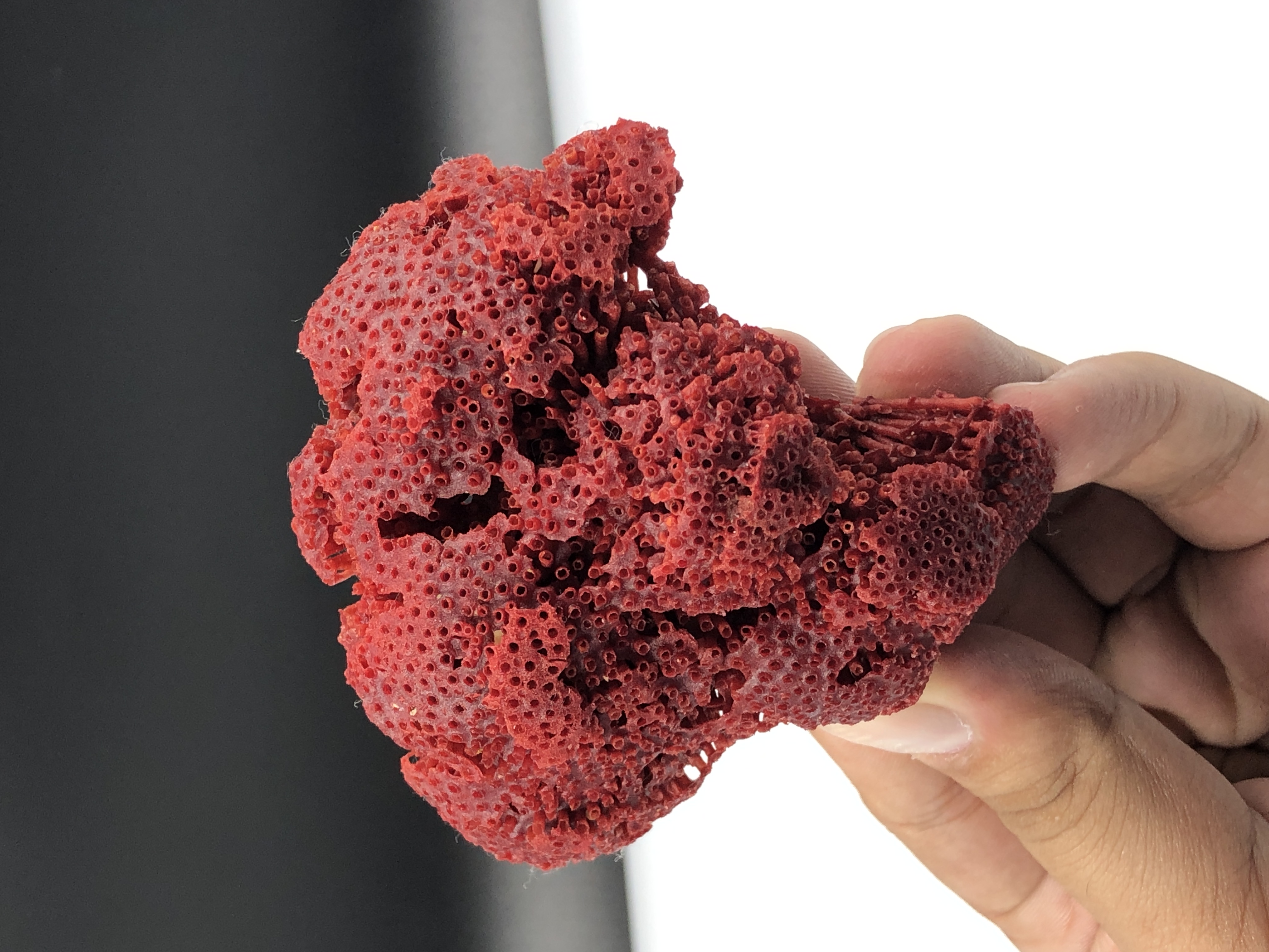 Natural Bunch of Red Coral, from Pakistan