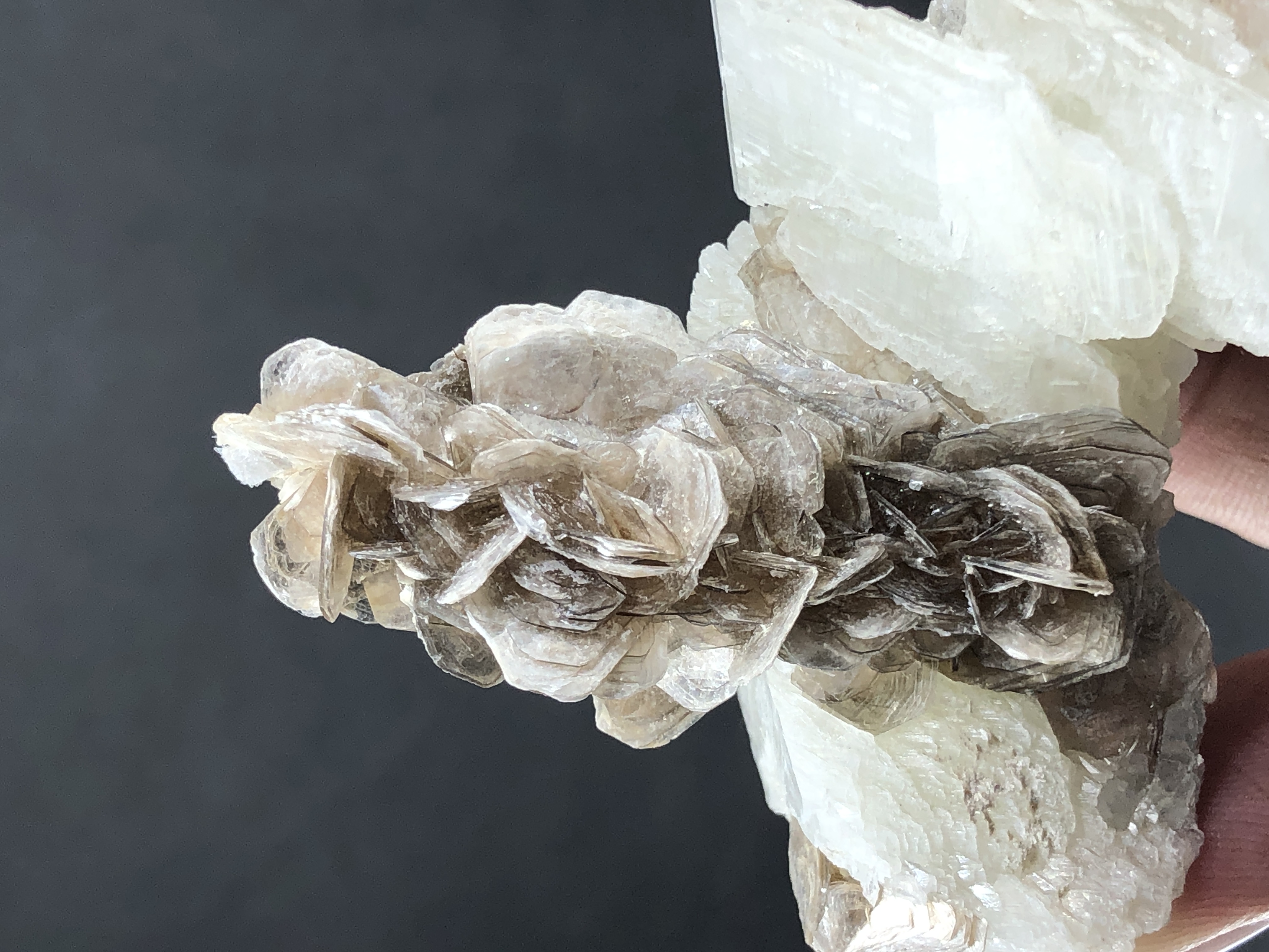 Natural Flower Muscovite Bunch Rested On Calcite.