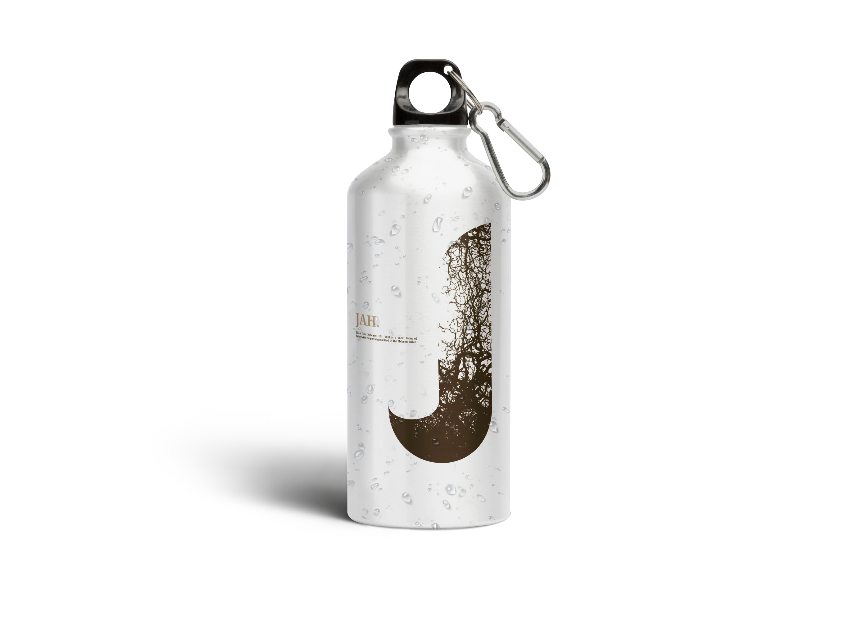 Stainless Steel Water Bottle