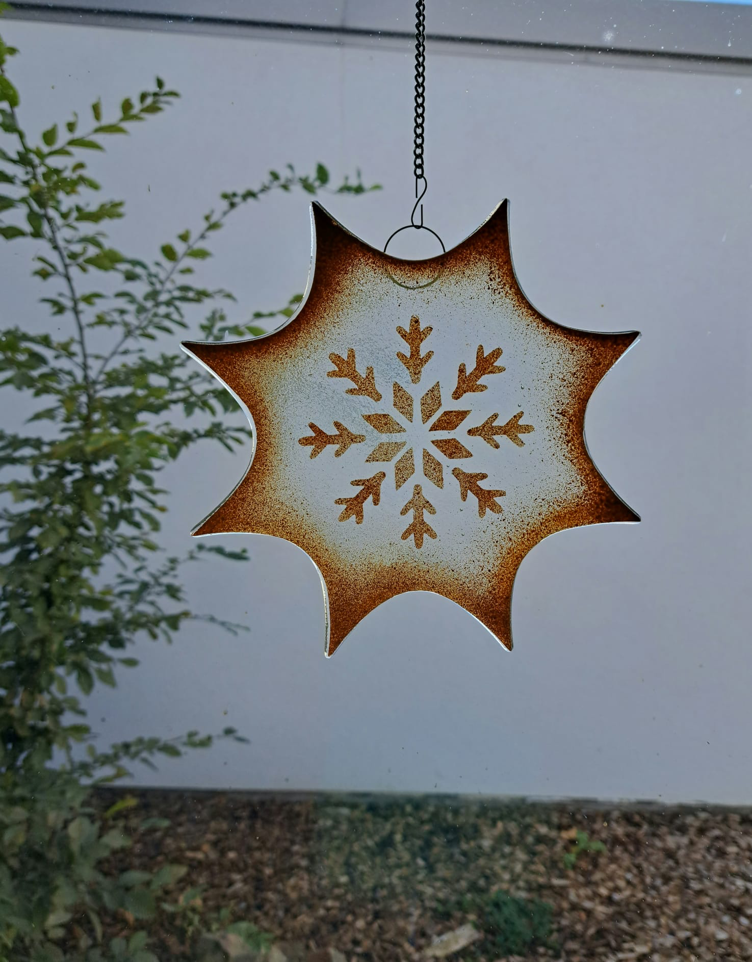 Vánoční hvězda