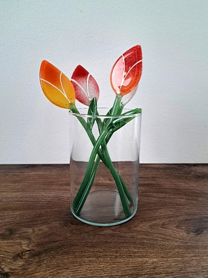 Tulipán
