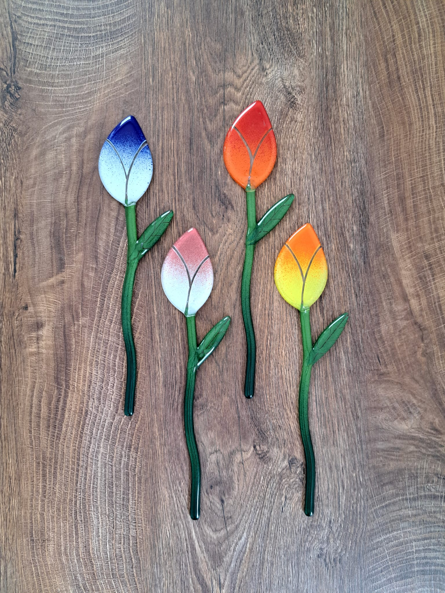 Tulipán