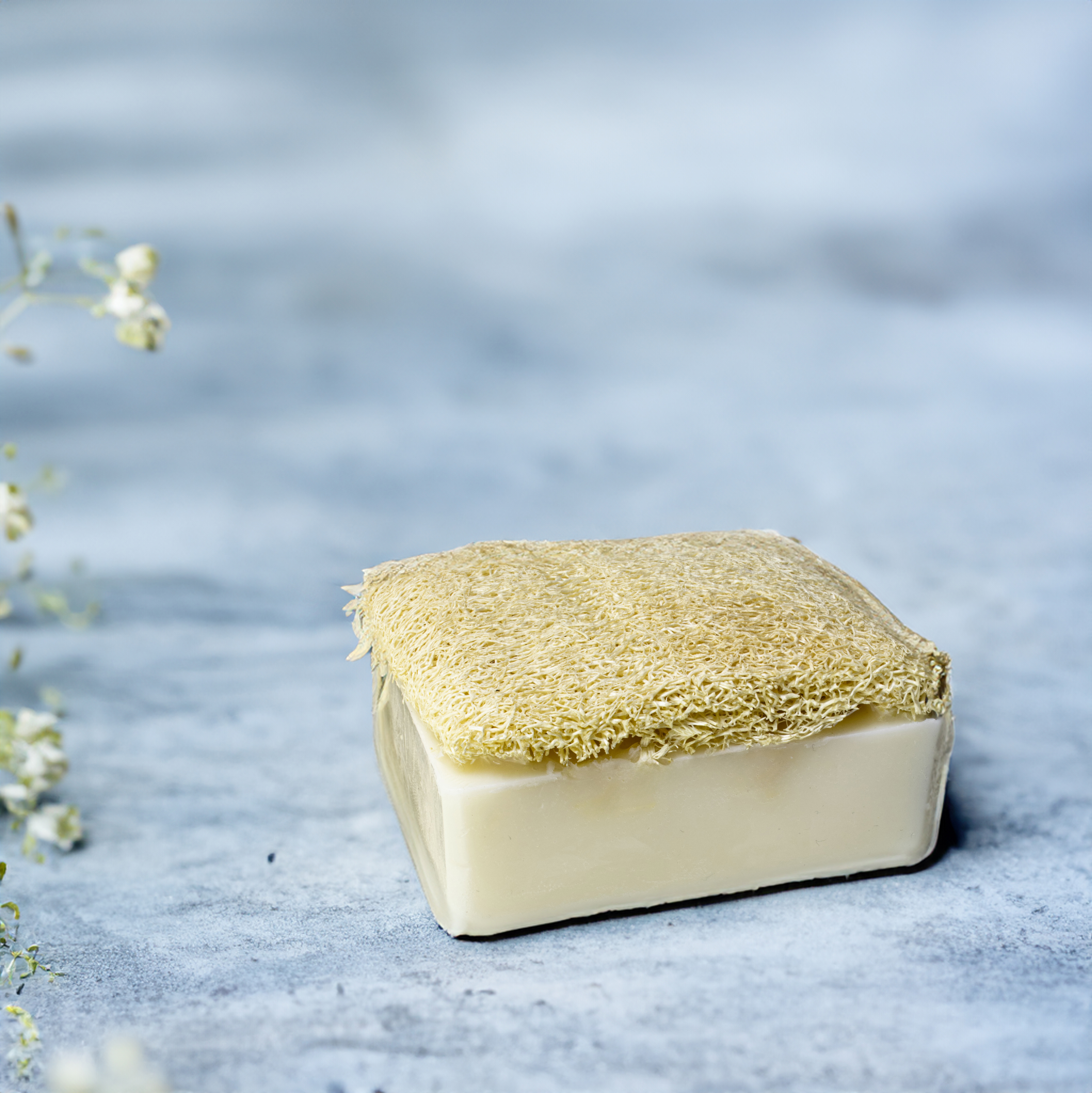 Organicsun Kabak Lifli Eşek Sütü Sabunu 120 gram