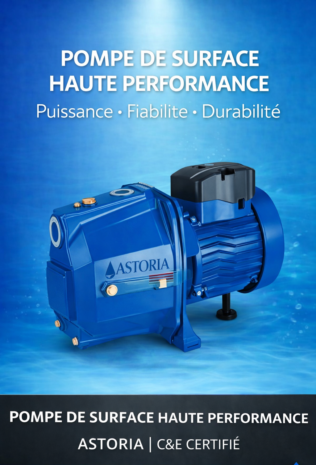 Pompe de Surface 150S 1,5 HP 220V