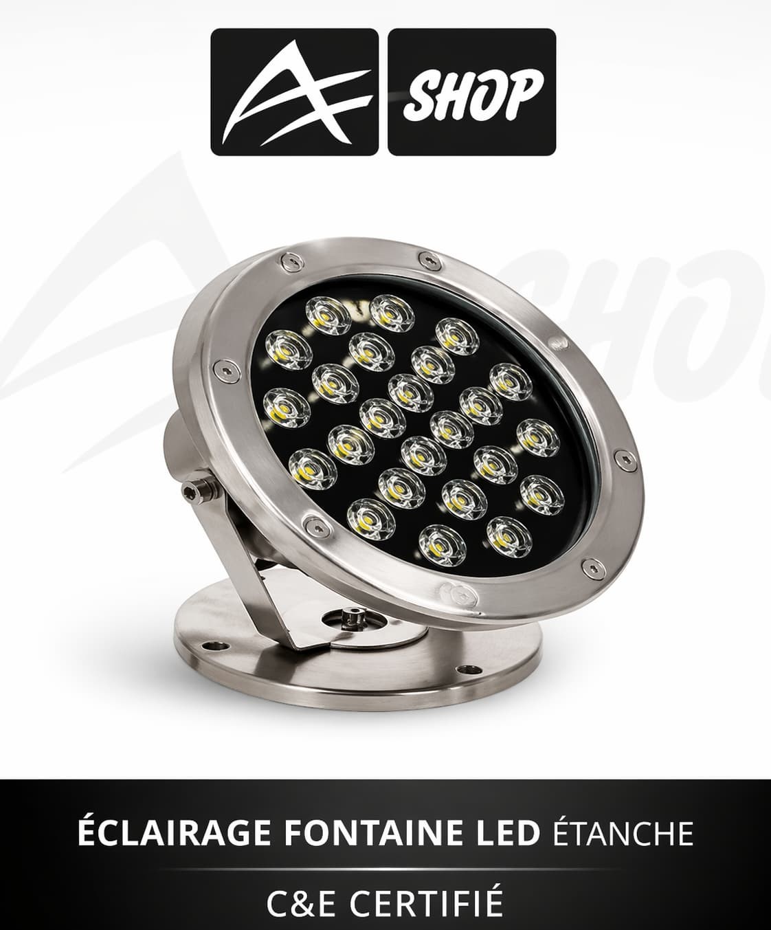 PROJECTEUR POUR FONTAINE 6 W / 12 V BLANC COLOR