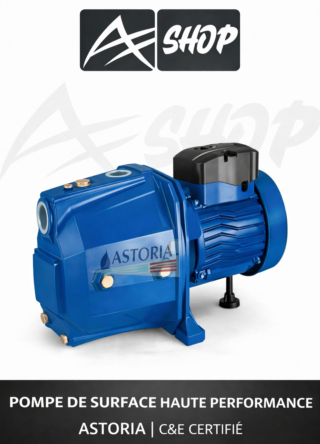 Pompe de Surface 60S 0.6 HP 220V