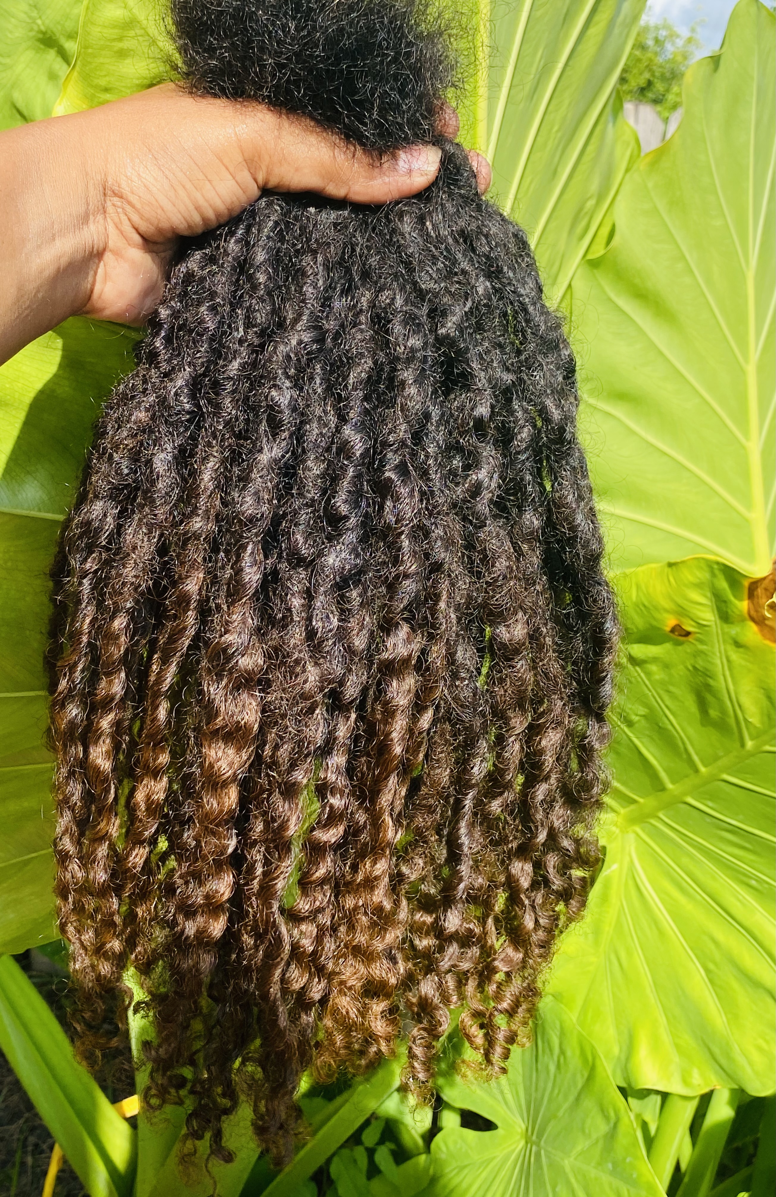 Exotic Loc Extension Kinky Curly
