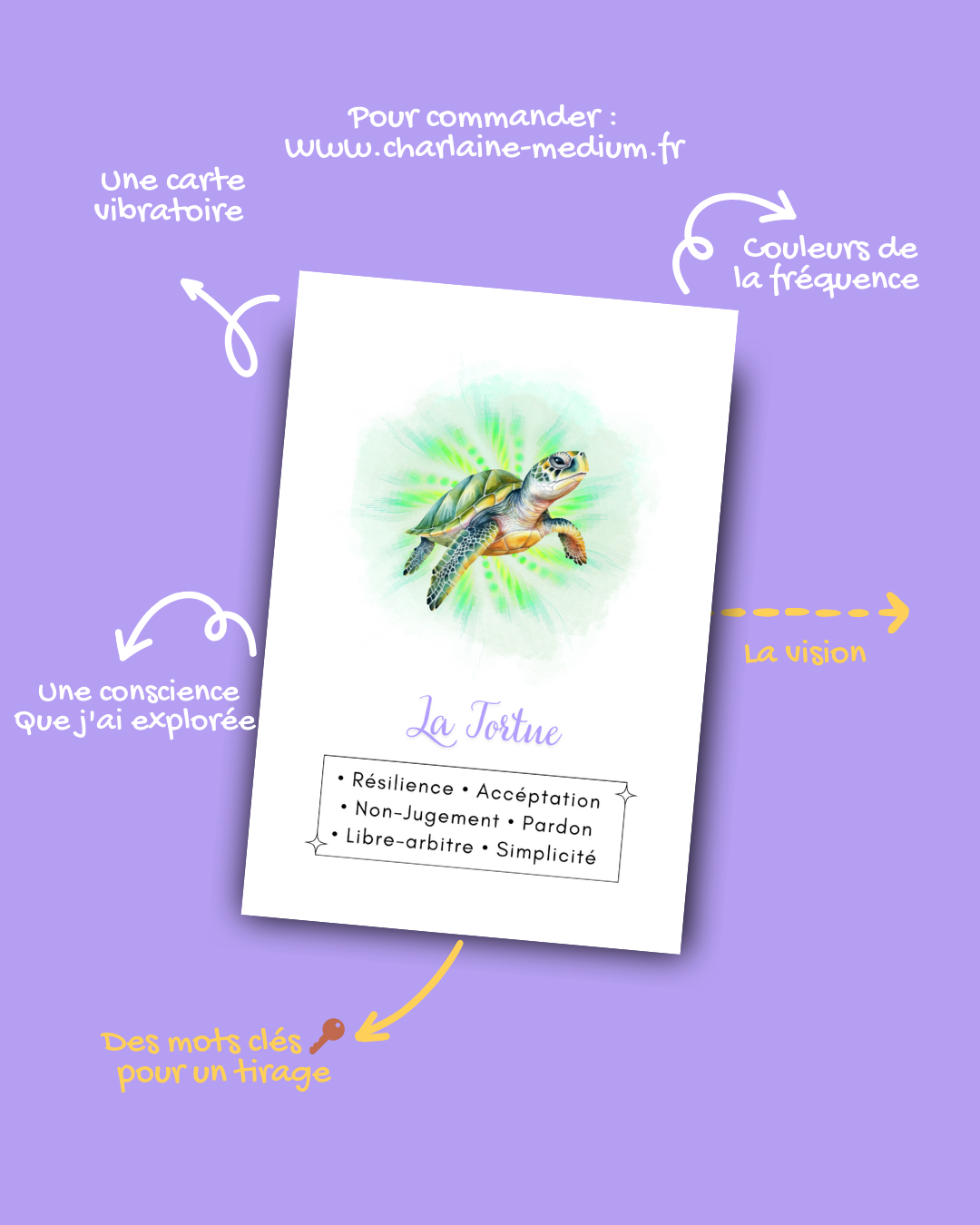 Les Portes de la Conscience