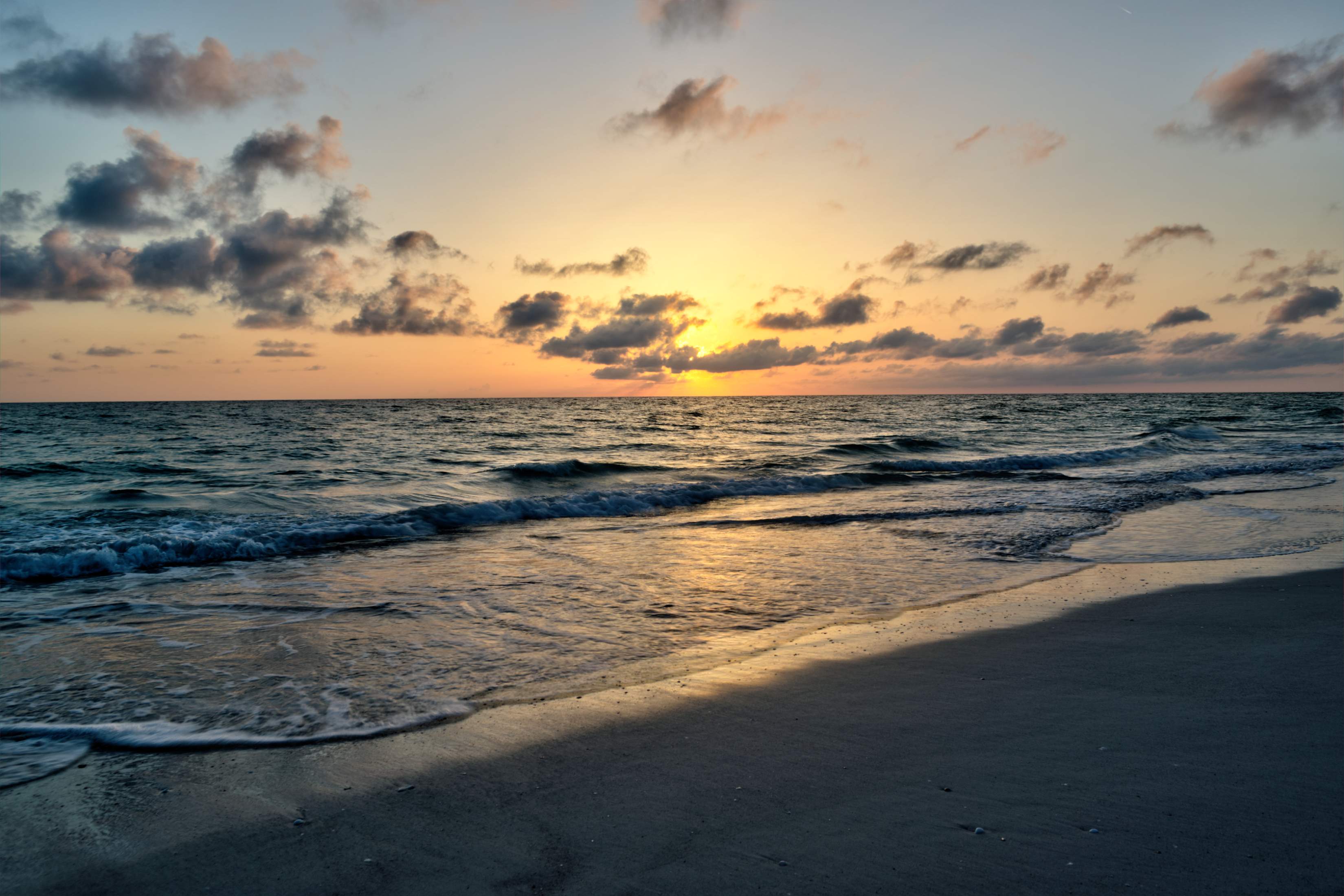 Manatee Public Beach High Definition Print