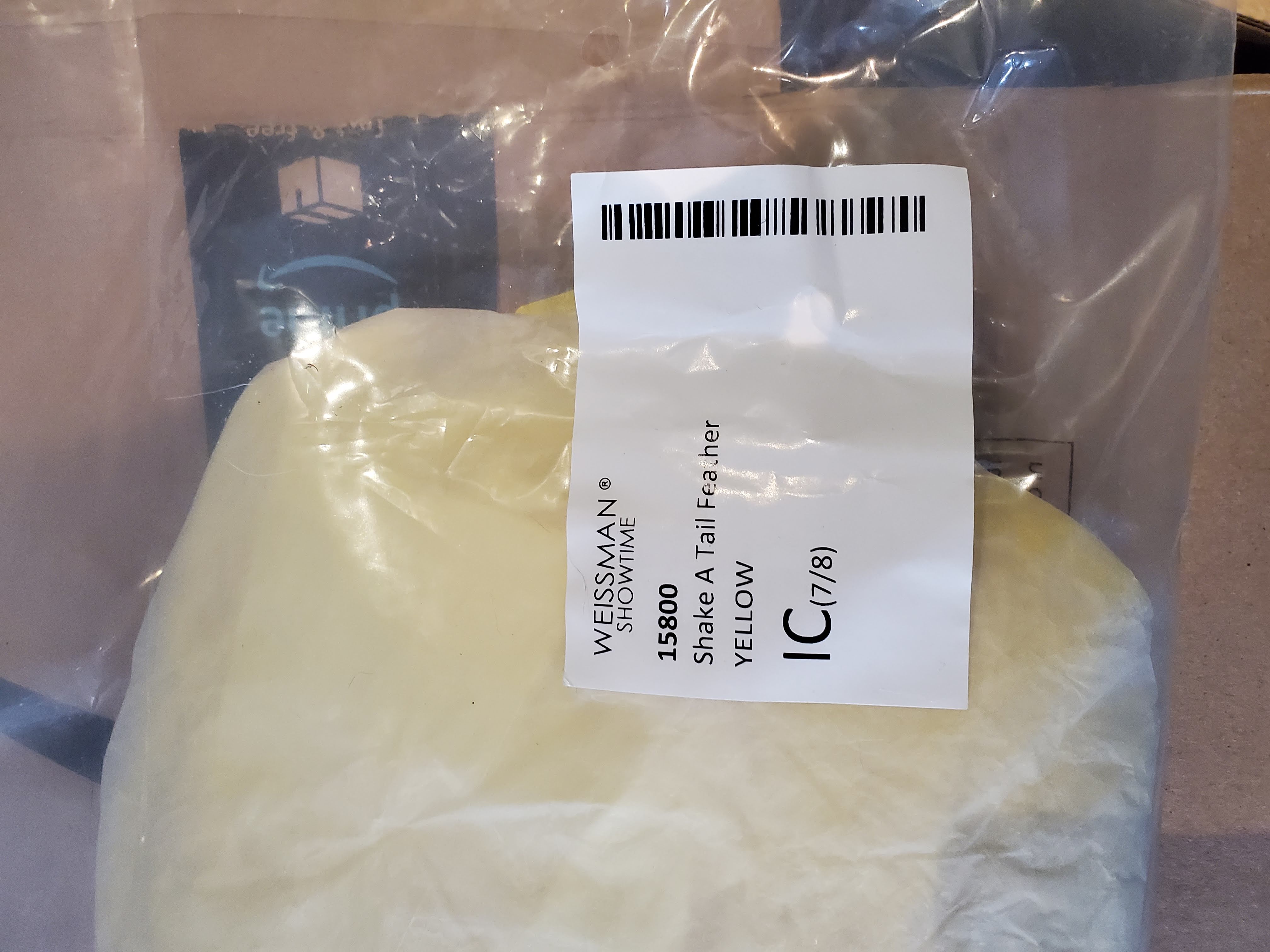 DAN133 - Intermediate Child 7-8  PENDING