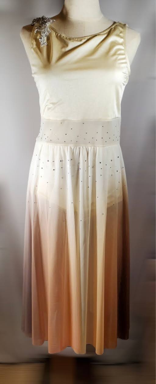 DAN423 - Adult XLarge  (2 available)