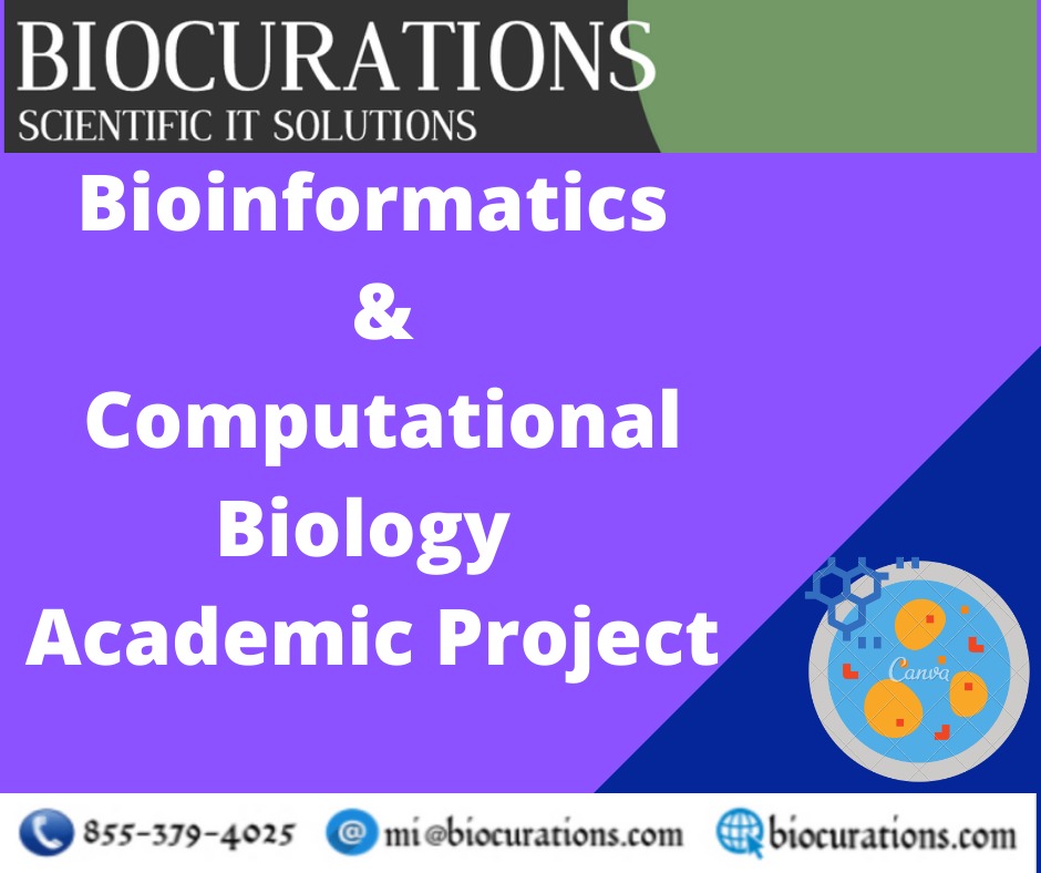 Internship - Project Work