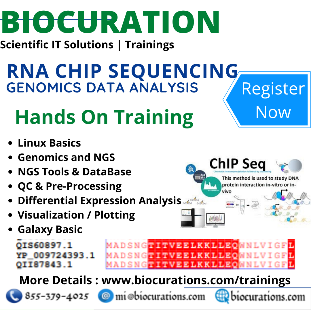 RNA ChiP Sequencing