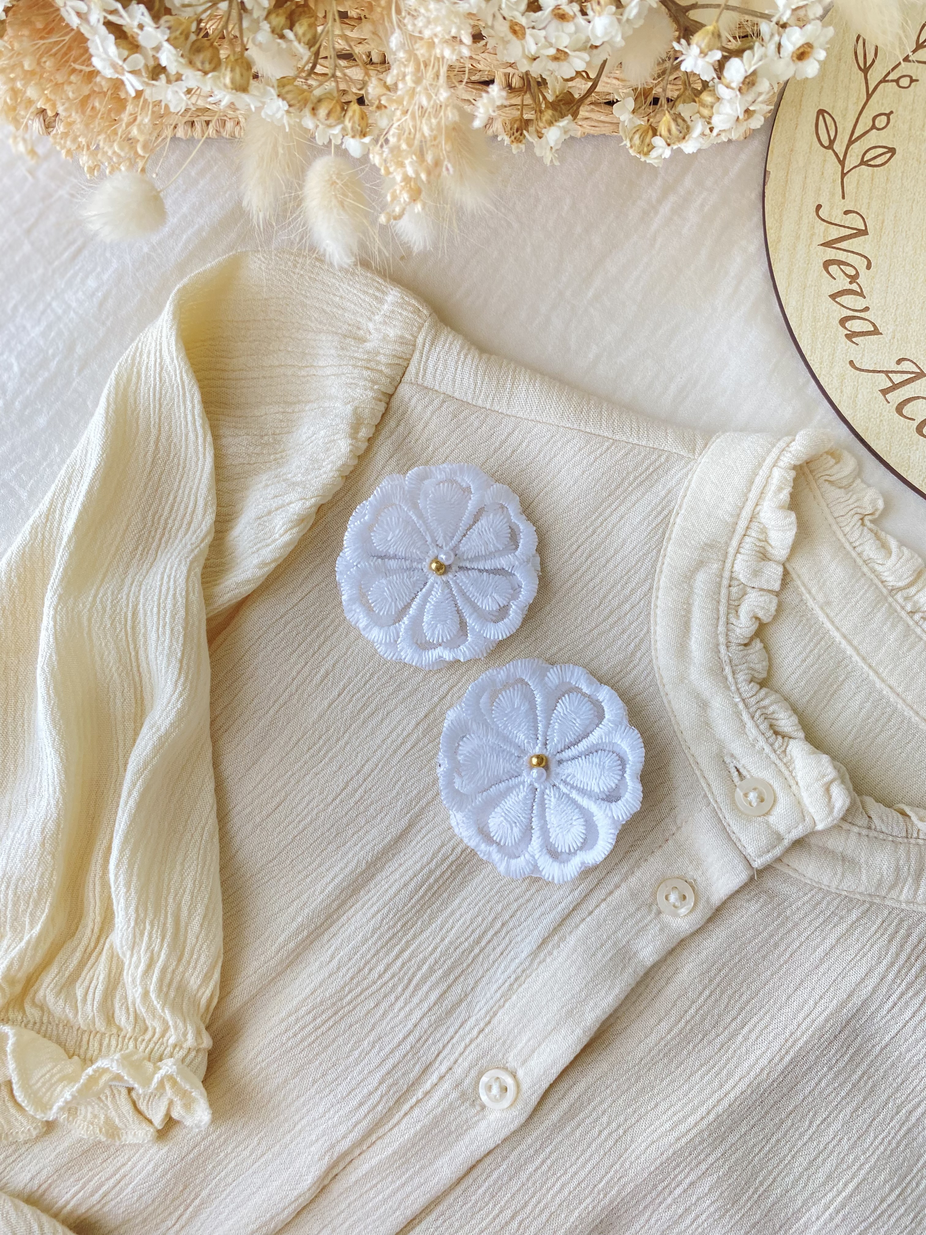Barrette anémone