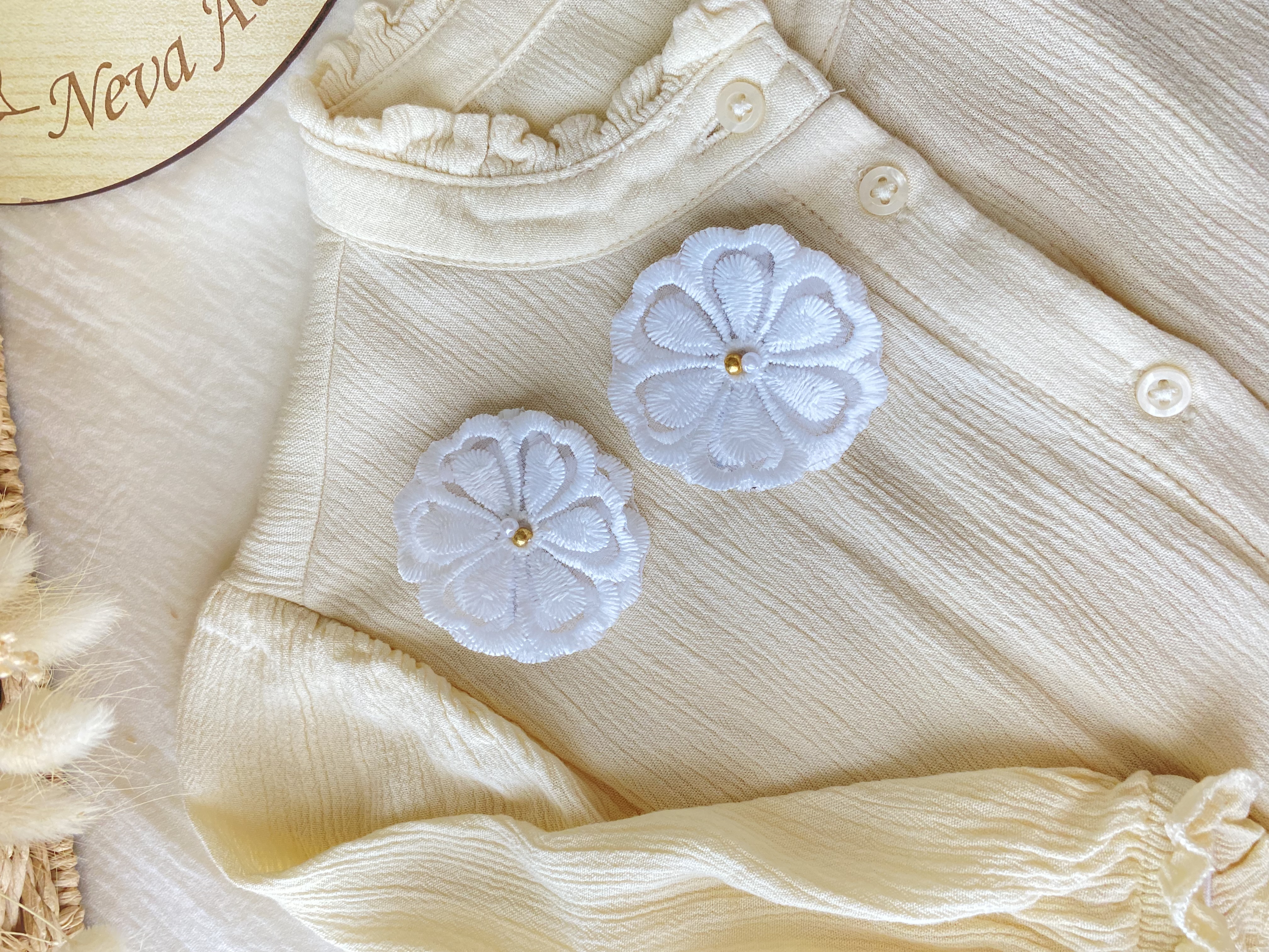 Barrette anémone