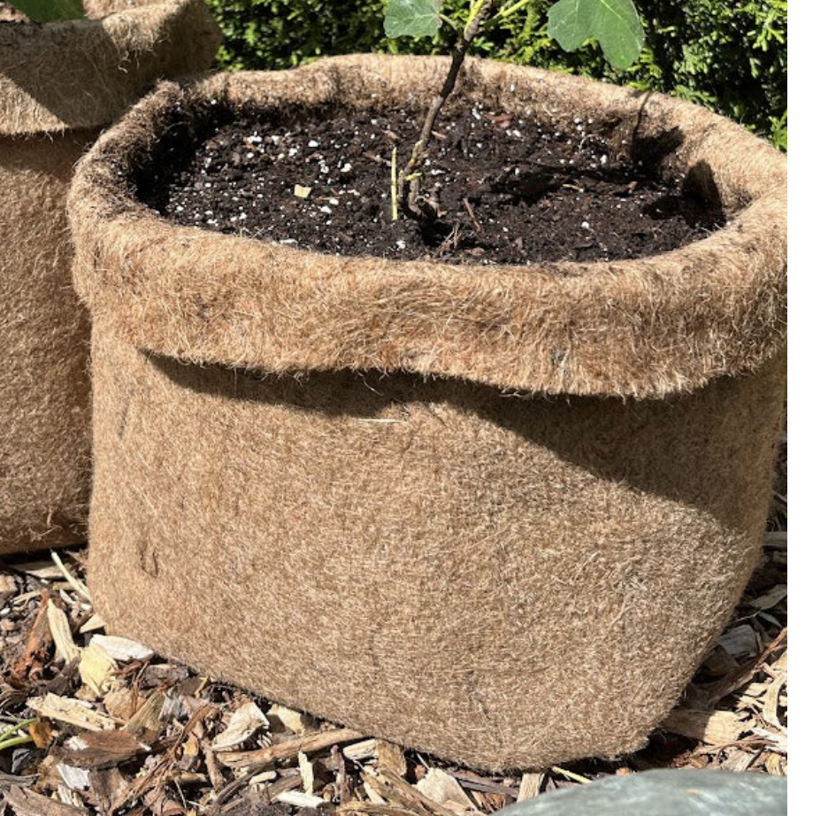 Eco-Friendly Hemp Grow Bag Planter