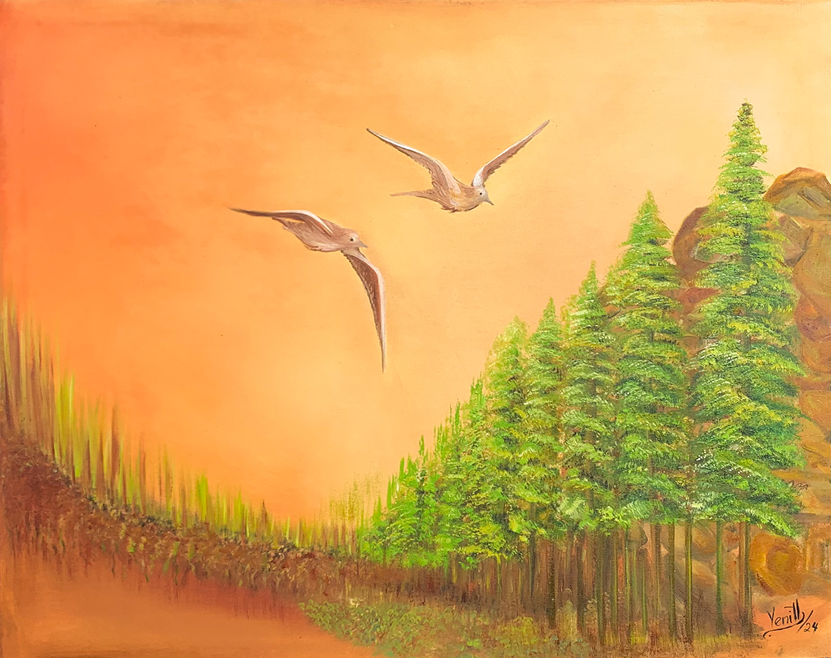 obra gaviotas veraneras