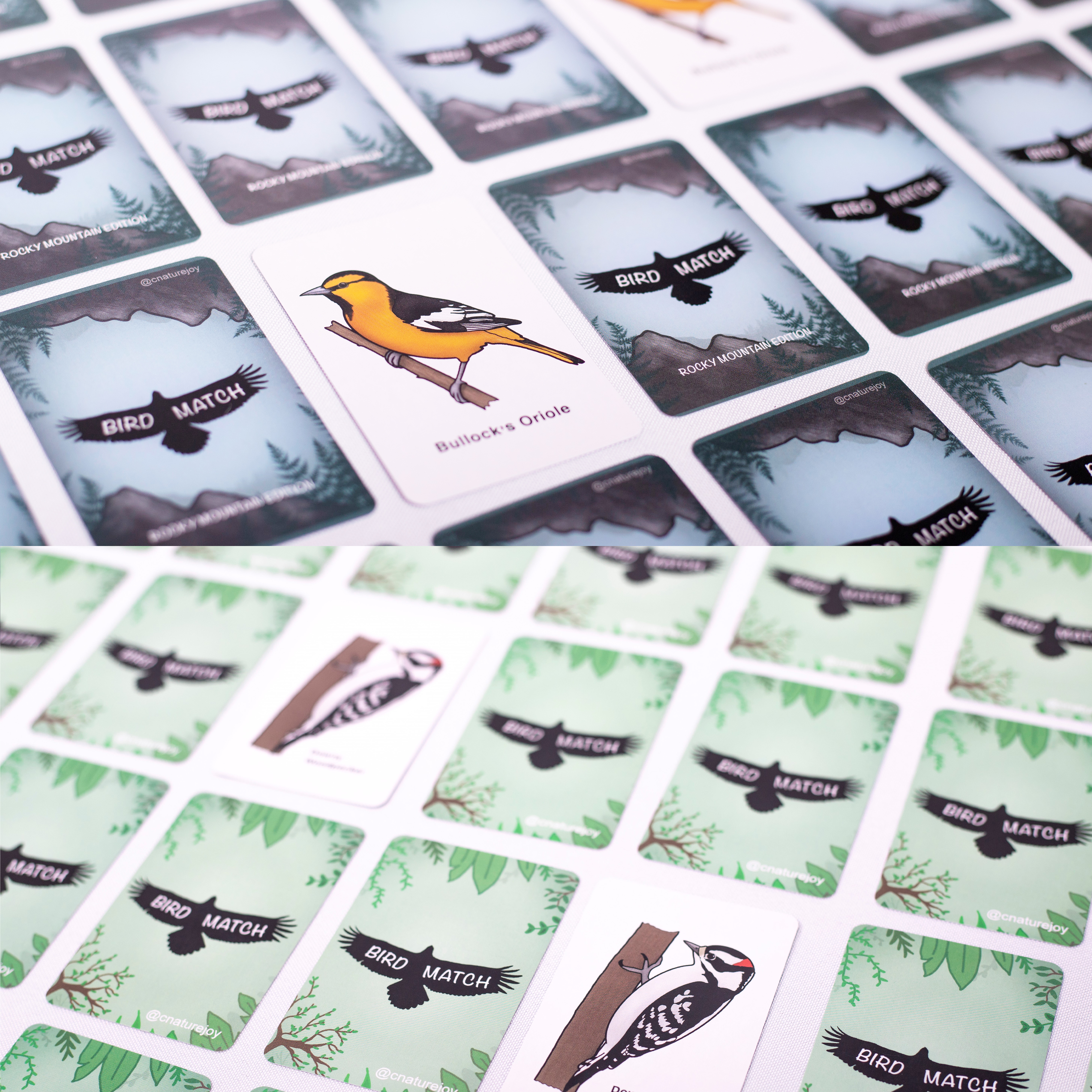 BirdMatch 2-pack