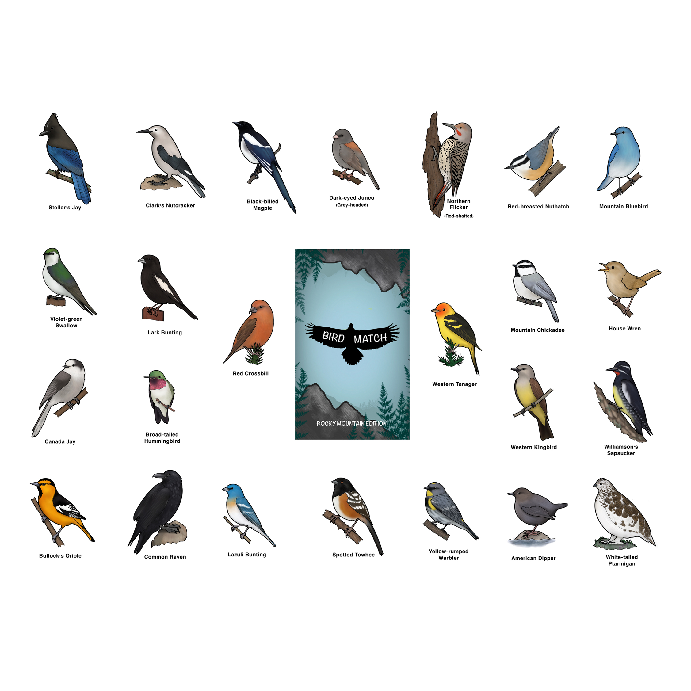 BirdMatch 2-pack