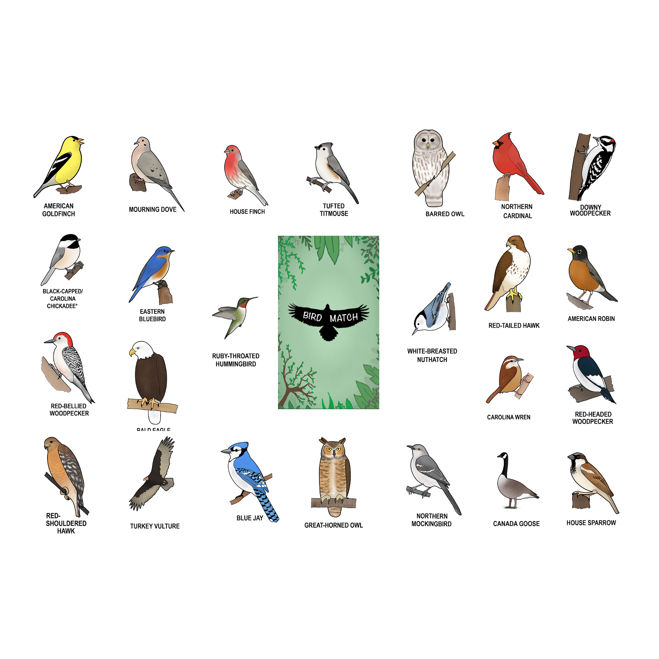 BirdMatch Original