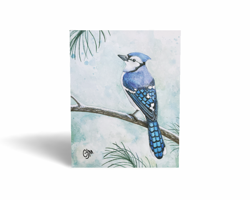 Blue Jay Greeting Card
