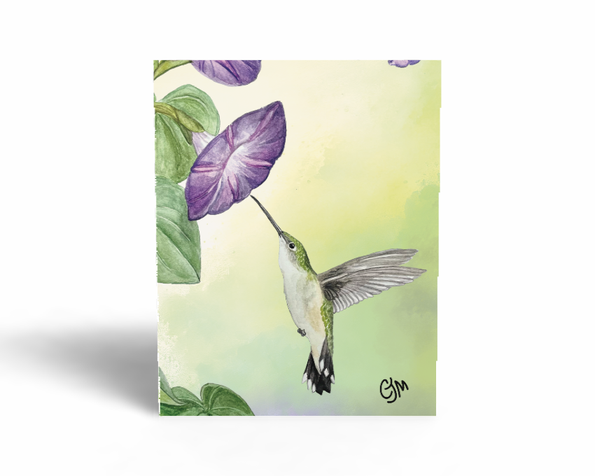 Female Hummingbird Greeting Card