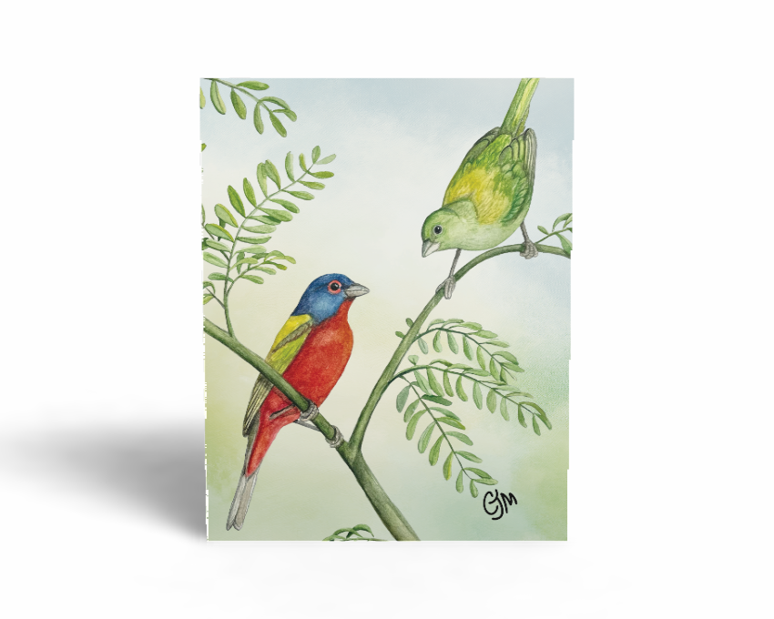Painted Buntings Greeting Card