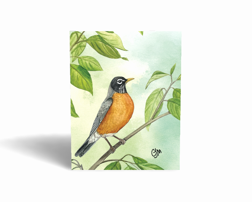 American Robin Greeting Card