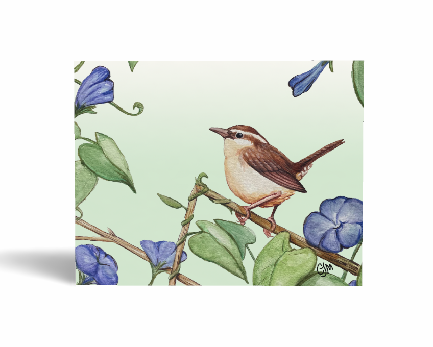 Carolina Wren Greeting Card