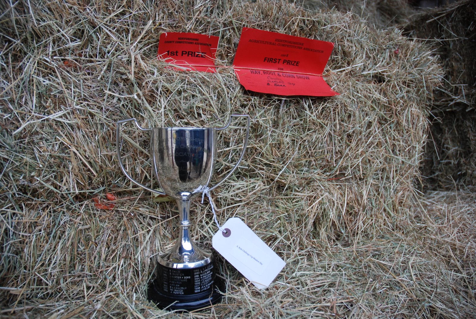 Premium Hay Bales - Small Square Conventional Meadow  Hay Bales