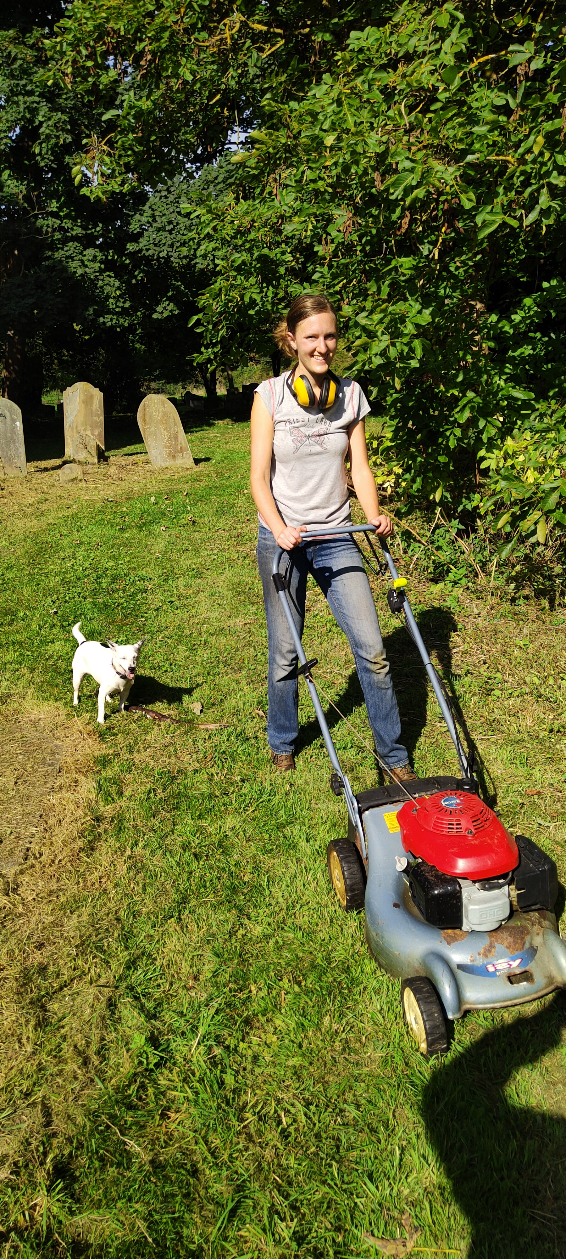 Small Engine Testing and Diagnostic Service