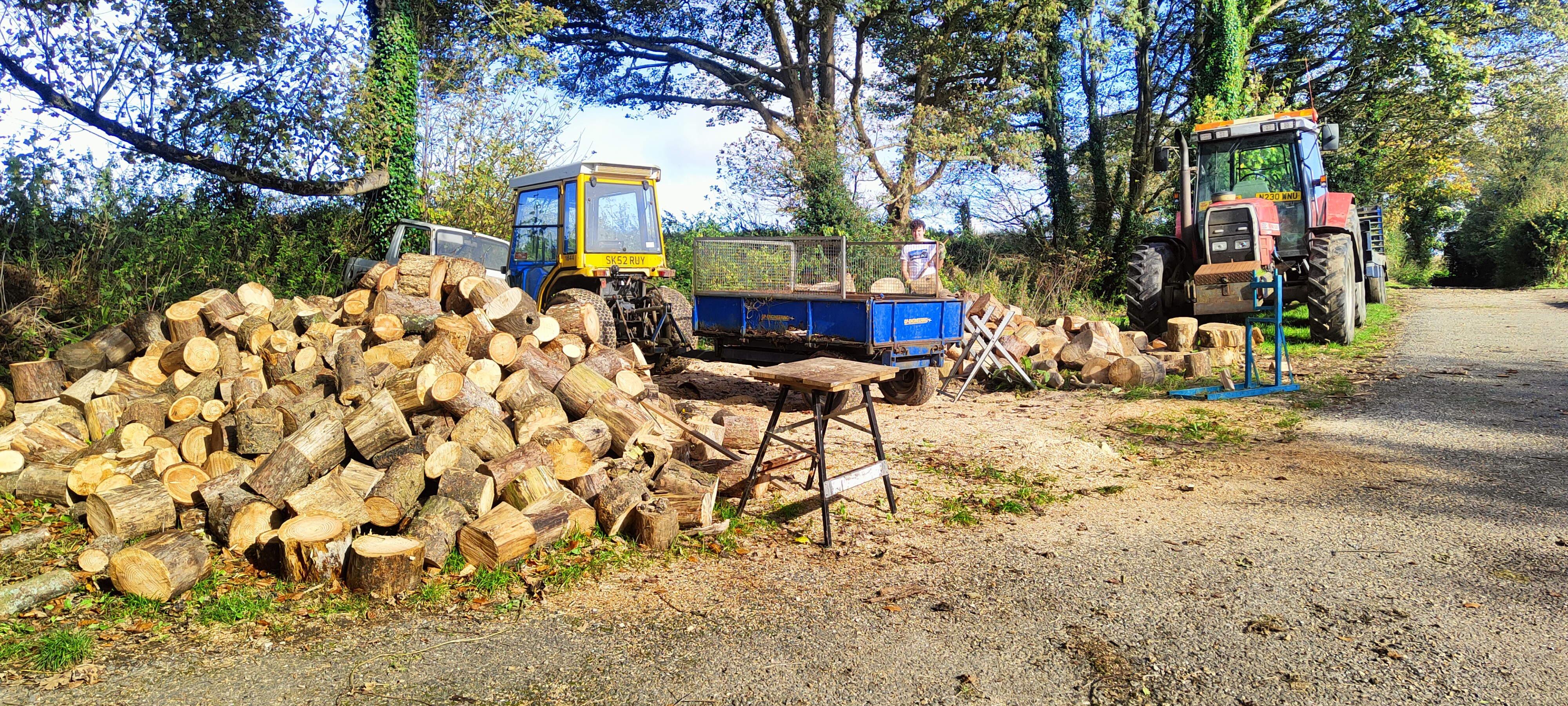 Natural Hardwood Rounds unsplit seasoned firewood