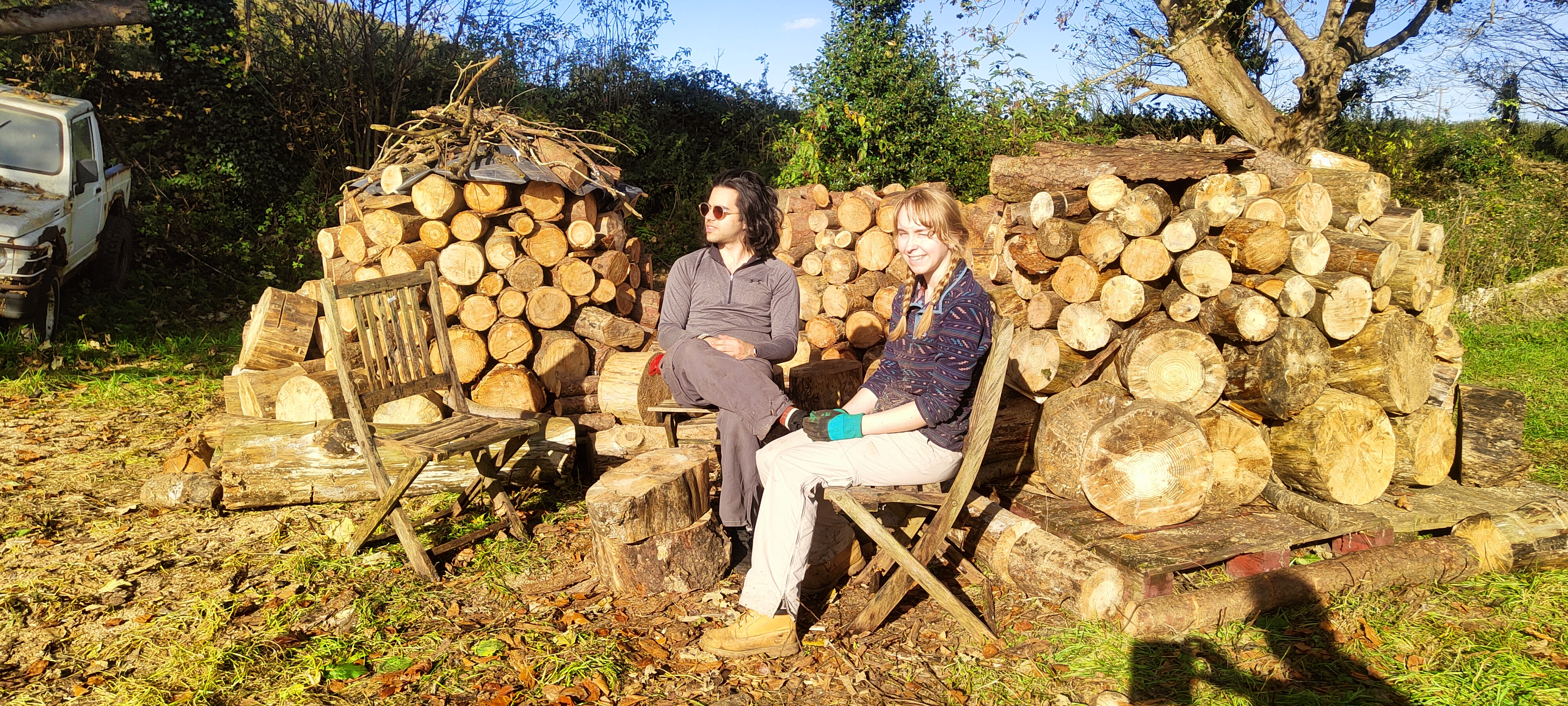 Natural Hardwood Rounds unsplit seasoned firewood