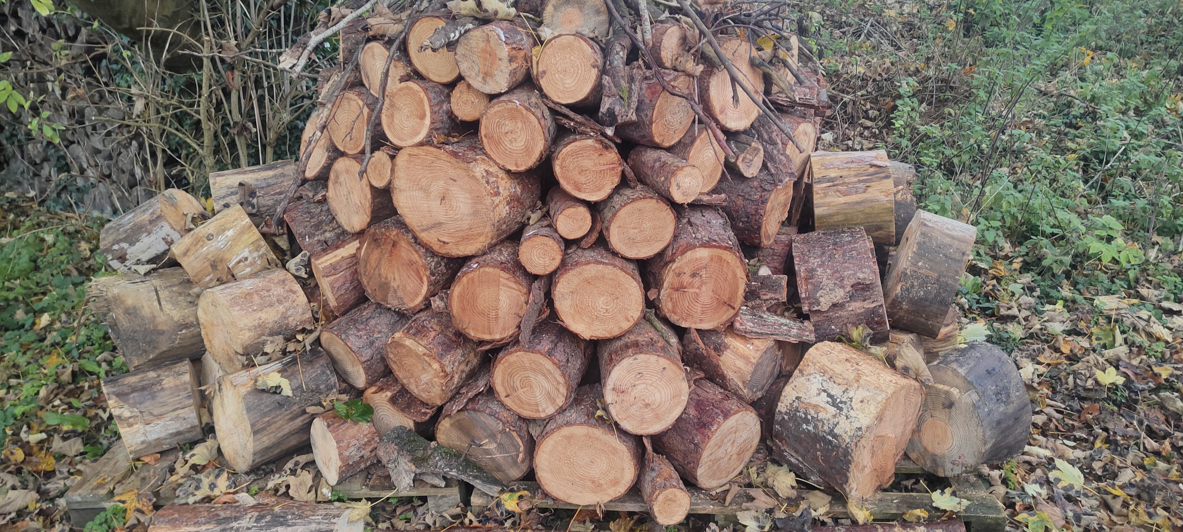 Natural Hardwood Rounds unsplit seasoned firewood