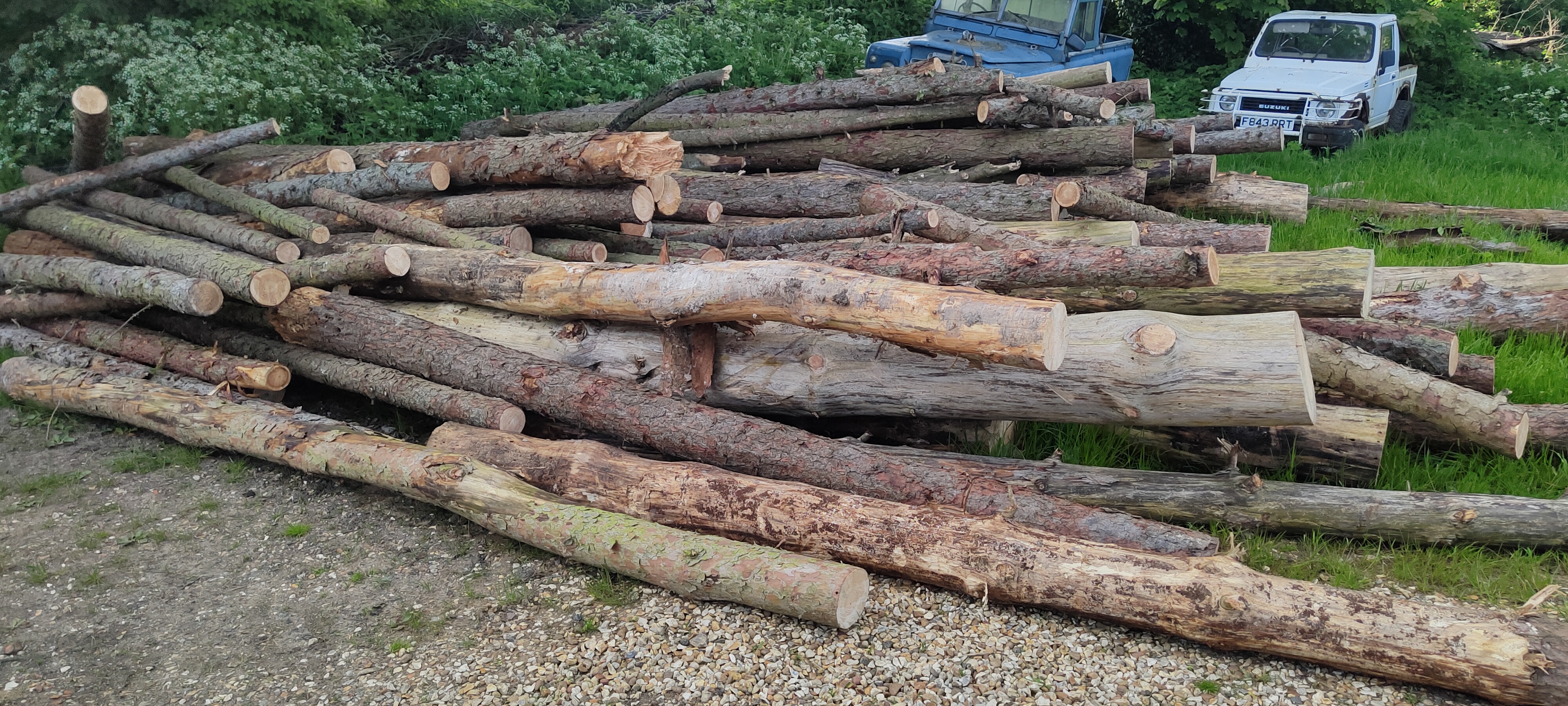 Natural Hardwood Trunks