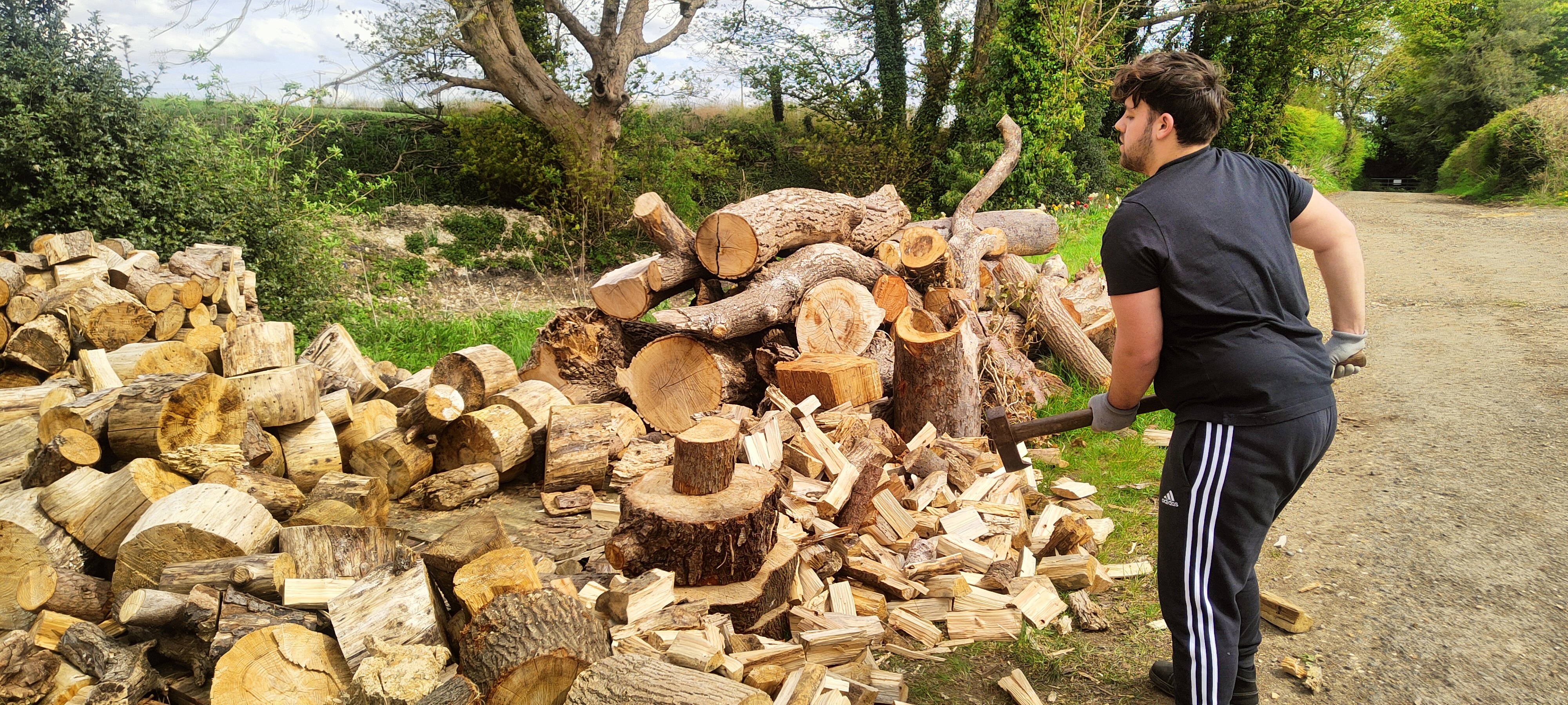 8" long split natural hardwood firewood seasoned log