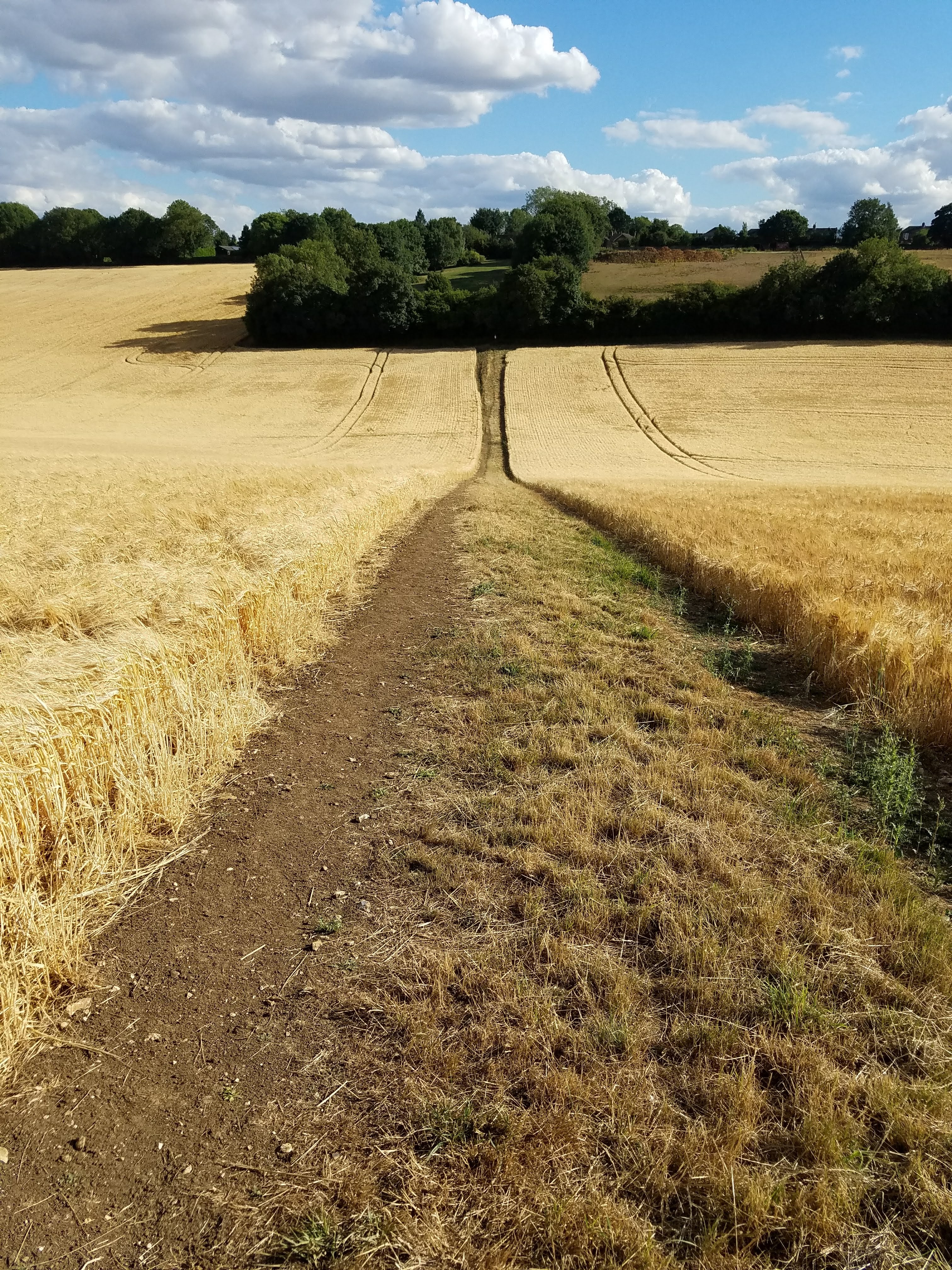 Conventional Rectangular Straw Bales