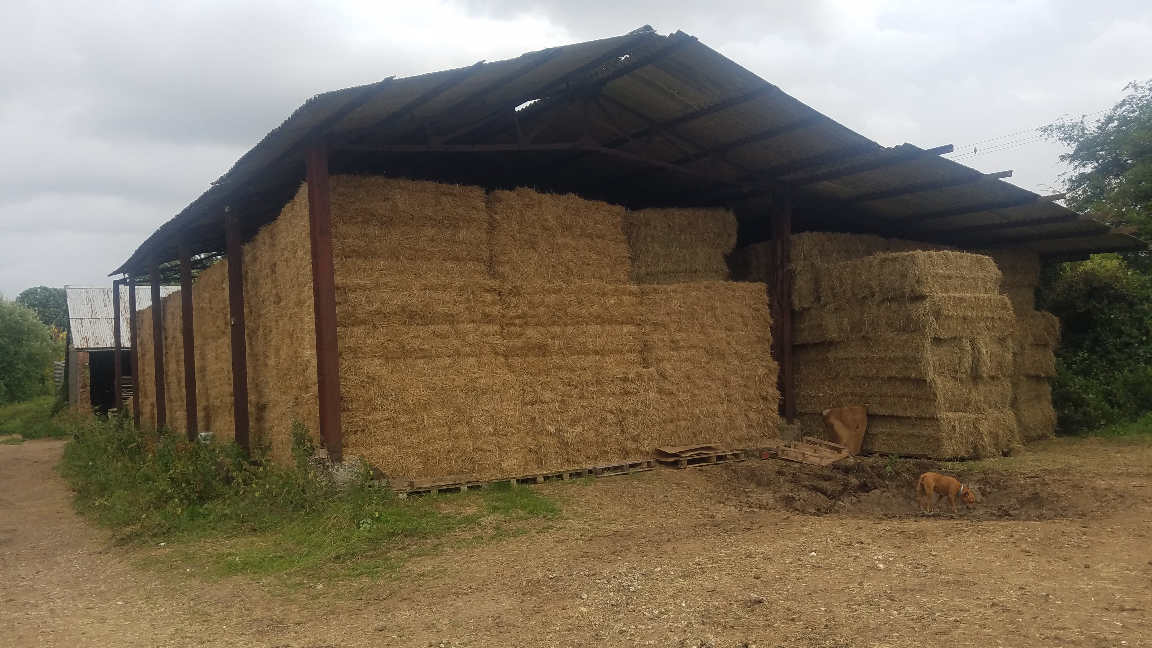 HIRE Conventional Rectangular Straw Bales (price per bale)