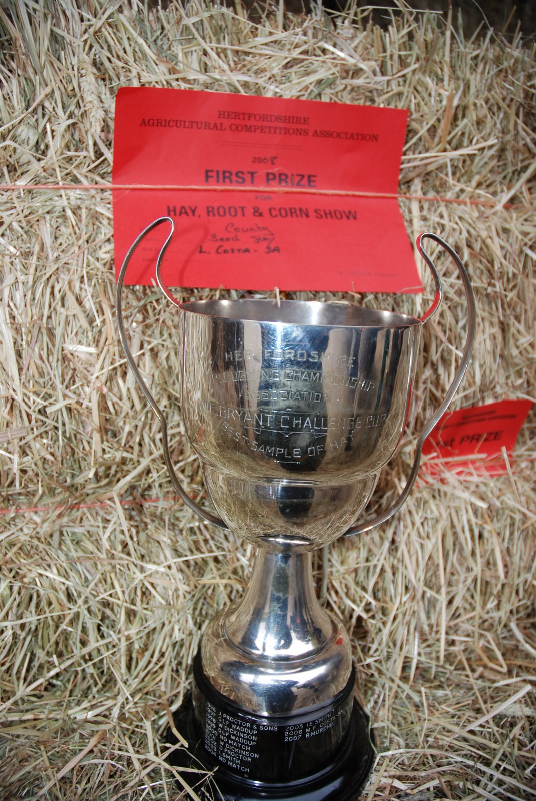 Premium Hay Bales - Small Square Conventional Meadow  Hay Bales