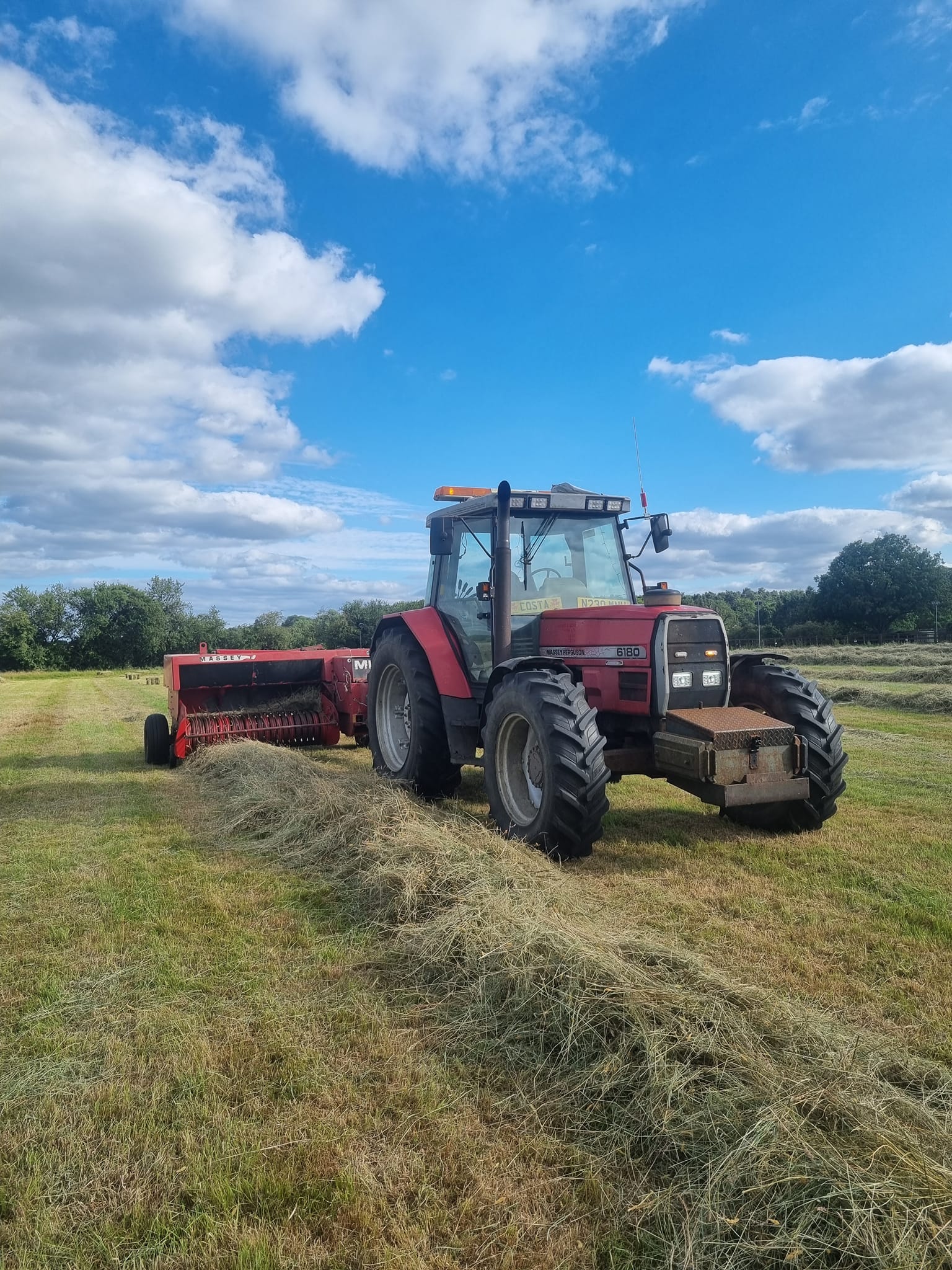 Premium Hay Bales - Small Square Conventional Meadow  Hay Bales
