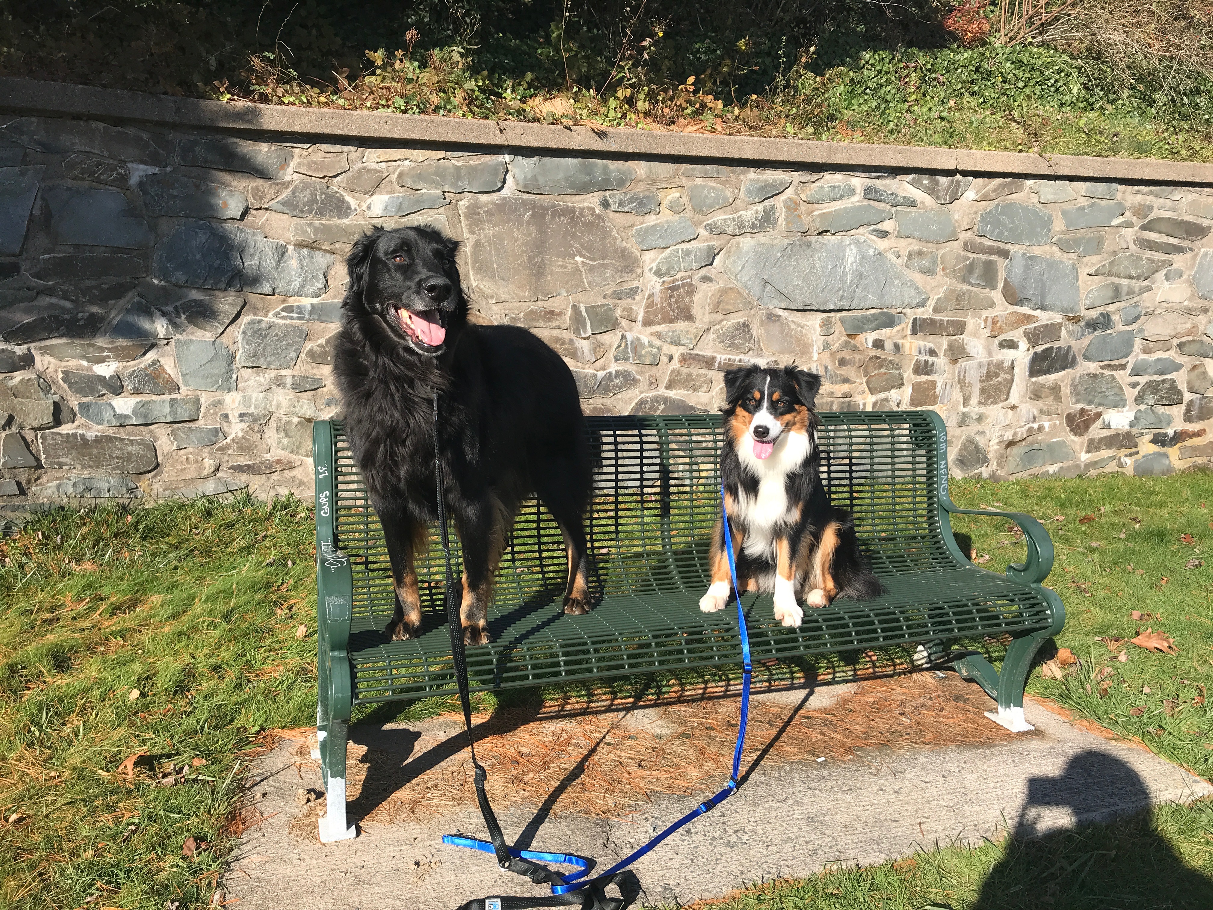 Manners Consultation